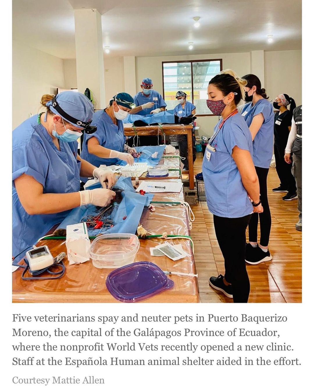 If our social media has seemed a little different lately, this is why! Dr. Parker and I have been spending vacation time volunteering with @worldvets1 on San Cristóbal Island of the Galápagos! These photos were provided for an article today in the @sfnewmexican - go check it out online and stay tuned: over the next week, we will be sharing some posts about our work there!
 

Dr. Parker led a team of six veterinarians, three vet techs, and several vet assistants to open a new vet clinic; over the week, 343 dogs and cats were serviced with free spay and neuter services and free veterinary care. The clinic is a part of the newly launched Conservation Medicine Program, working to protect the biodiversity of the Galápagos Islands.

<a target='_blank' href='https://www.instagram.com/explore/tags/espajolahumane/'>#espajolahumane</a> <a target='_blank' href='https://www.instagram.com/explore/tags/moreloveperpaw/'>#moreloveperpaw</a> <a target='_blank' href='https://www.instagram.com/explore/tags/gotheextramile/'>#gotheextramile</a> <a target='_blank' href='https://www.instagram.com/explore/tags/gothedistance/'>#gothedistance</a> <a target='_blank' href='https://www.instagram.com/explore/tags/worldvets/'>#worldvets</a> <a target='_blank' href='https://www.instagram.com/explore/tags/galapagos/'>#galapagos</a> <a target='_blank' href='https://www.instagram.com/explore/tags/galapagosislands/'>#galapagosislands</a> <a target='_blank' href='https://www.instagram.com/explore/tags/spayandneuter/'>#spayandneuter</a> <a target='_blank' href='https://www.instagram.com/explore/tags/vaccinate/'>#vaccinate</a> <a target='_blank' href='https://www.instagram.com/explore/tags/wellness/'>#wellness</a> <a target='_blank' href='https://www.instagram.com/explore/tags/veterinarian/'>#veterinarian</a> <a target='_blank' href='https://www.instagram.com/explore/tags/vettech/'>#vettech</a> <a target='_blank' href='https://www.instagram.com/explore/tags/vettechlife/'>#vettechlife</a> <a target='_blank' href='https://www.instagram.com/explore/tags/veterinario/'>#veterinario</a> <a target='_blank' href='https://www.instagram.com/explore/tags/veterinaria/'>#veterinaria</a> <a target='_blank' href='https://www.instagram.com/explore/tags/veterinarymedicine/'>#veterinarymedicine</a> <a target='_blank' href='https://www.instagram.com/explore/tags/dogoodfeelgood/'>#dogoodfeelgood</a> <a target='_blank' href='https://www.instagram.com/explore/tags/dogoodthings/'>#dogoodthings</a> <a target='_blank' href='https://www.instagram.com/explore/tags/volunteer/'>#volunteer</a> <a target='_blank' href='https://www.instagram.com/explore/tags/travel/'>#travel</a> <a target='_blank' href='https://www.instagram.com/explore/tags/seetheworld/'>#seetheworld</a> <a target='_blank' href='https://www.instagram.com/explore/tags/animalshelter/'>#animalshelter</a> <a target='_blank' href='https://www.instagram.com/explore/tags/newmexico/'>#newmexico</a> <a target='_blank' href='https://www.instagram.com/explore/tags/ecuador/'>#ecuador</a> <a target='_blank' href='https://www.instagram.com/explore/tags/espa/'>#espa</a>ñola <a target='_blank' href='https://www.instagram.com/explore/tags/santafe/'>#santafe</a> <a target='_blank' href='https://www.instagram.com/explore/tags/albuquerque/'>#albuquerque</a> <a target='_blank' href='https://www.instagram.com/explore/tags/taos/'>#taos</a> <a target='_blank' href='https://www.instagram.com/explore/tags/losalamos/'>#losalamos</a> <a target='_blank' href='https://www.instagram.com/explore/tags/abiquiu/'>#abiquiu</a>