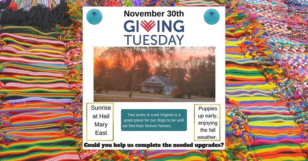 <a target='_blank' href='https://www.instagram.com/explore/tags/GivingTuesday/'>#GivingTuesday</a> <a target='_blank' href='https://www.instagram.com/explore/tags/hailmaryrescue/'>#hailmaryrescue</a>  <a target='_blank' href='https://www.instagram.com/explore/tags/hmrhelpingtheunderdogs/'>#hmrhelpingtheunderdogs</a>  <a target='_blank' href='https://www.instagram.com/explore/tags/hmrtogetherwemakeitbetter/'>#hmrtogetherwemakeitbetter</a>