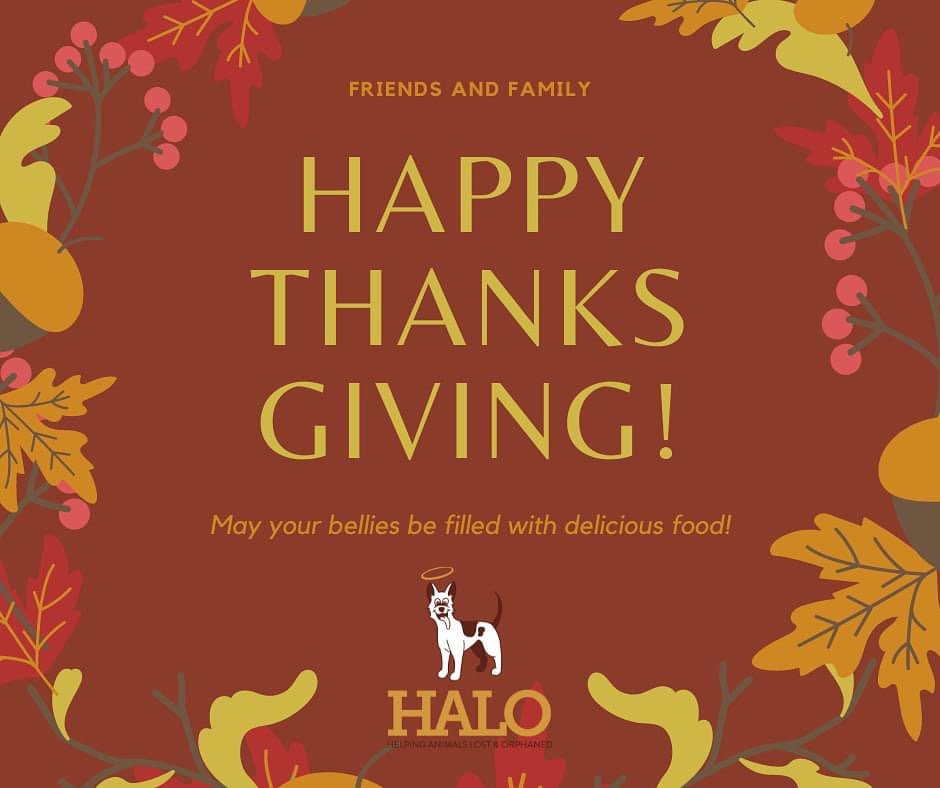 HALO would like to wish you and yours a wonderful Thanksgiving! 
HALO is a private nonprofit 501(c)(3) organization that relies on donations and volunteers. Please visit our website www.halok9behavior.com to view our adoptable pets and learn more about our programs. Our PayPal is halok9behavior@gmail.com and Venmo is halo_behavior.

<a target='_blank' href='https://www.instagram.com/explore/tags/opttoadopt/'>#opttoadopt</a> <a target='_blank' href='https://www.instagram.com/explore/tags/adoptme/'>#adoptme</a> <a target='_blank' href='https://www.instagram.com/explore/tags/fosteringsaveslives/'>#fosteringsaveslives</a> <a target='_blank' href='https://www.instagram.com/explore/tags/fosterdog/'>#fosterdog</a> <a target='_blank' href='https://www.instagram.com/explore/tags/fosterdogs/'>#fosterdogs</a> <a target='_blank' href='https://www.instagram.com/explore/tags/fosterdogsofinstagram/'>#fosterdogsofinstagram</a> <a target='_blank' href='https://www.instagram.com/explore/tags/rescue/'>#rescue</a> <a target='_blank' href='https://www.instagram.com/explore/tags/rescuedog/'>#rescuedog</a> <a target='_blank' href='https://www.instagram.com/explore/tags/rescuedogs/'>#rescuedogs</a> <a target='_blank' href='https://www.instagram.com/explore/tags/rescuedogsofinstagram/'>#rescuedogsofinstagram</a> <a target='_blank' href='https://www.instagram.com/explore/tags/rescuelife/'>#rescuelife</a> <a target='_blank' href='https://www.instagram.com/explore/tags/nonprofit/'>#nonprofit</a> <a target='_blank' href='https://www.instagram.com/explore/tags/nonprofits/'>#nonprofits</a> <a target='_blank' href='https://www.instagram.com/explore/tags/nonprofitorganization/'>#nonprofitorganization</a> <a target='_blank' href='https://www.instagram.com/explore/tags/nonprofitorganizations/'>#nonprofitorganizations</a> <a target='_blank' href='https://www.instagram.com/explore/tags/nonprofitlife/'>#nonprofitlife</a> <a target='_blank' href='https://www.instagram.com/explore/tags/donate/'>#donate</a> <a target='_blank' href='https://www.instagram.com/explore/tags/volunteer/'>#volunteer</a> <a target='_blank' href='https://www.instagram.com/explore/tags/volunteeropportunities/'>#volunteeropportunities</a> <a target='_blank' href='https://www.instagram.com/explore/tags/donatetoday/'>#donatetoday</a>