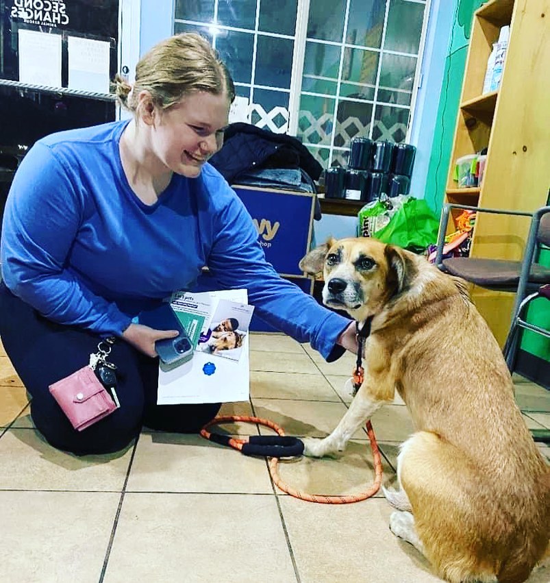 Our biggest blessing this Thanksgiving is that long timer Dean was adopted by her perfect person after almost 11 months of waiting!

Happy Thanksgiving to all of our incredible supporters!