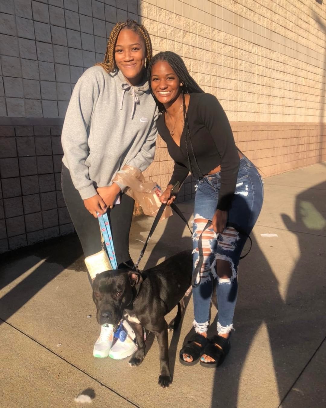 Today six dogs got to meet their new families 🐾 Congratulations to Chex Mix, Hyacinth, Bane, Brooks, Finn, and Sully! 
Thank you to our adopters, volunteers, and fosters for helping make today possible. If you missed us today we’ll be back tomorrow from 11 AM- 3PM. 
<a target='_blank' href='https://www.instagram.com/explore/tags/happyadoptionday/'>#happyadoptionday</a> <a target='_blank' href='https://www.instagram.com/explore/tags/chooseadoption/'>#chooseadoption</a> <a target='_blank' href='https://www.instagram.com/explore/tags/dog/'>#dog</a> <a target='_blank' href='https://www.instagram.com/explore/tags/rescuedog/'>#rescuedog</a> <a target='_blank' href='https://www.instagram.com/explore/tags/fosteringsaveslives/'>#fosteringsaveslives</a> <a target='_blank' href='https://www.instagram.com/explore/tags/happytails/'>#happytails</a> <a target='_blank' href='https://www.instagram.com/explore/tags/makeadogsday/'>#makeadogsday</a>  <a target='_blank' href='https://www.instagram.com/explore/tags/makeadogsday/'>#makeadogsday</a>❤️🐶 <a target='_blank' href='https://www.instagram.com/explore/tags/dogs/'>#dogs</a> <a target='_blank' href='https://www.instagram.com/explore/tags/dogslife/'>#dogslife</a> <a target='_blank' href='https://www.instagram.com/explore/tags/humanesociety/'>#humanesociety</a> <a target='_blank' href='https://www.instagram.com/explore/tags/whywerescue/'>#whywerescue</a>