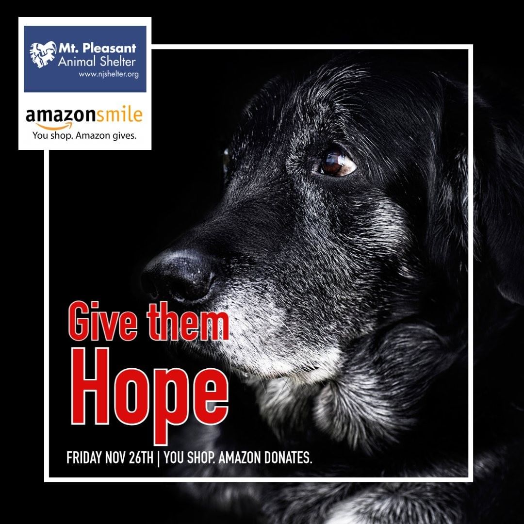 Ready to work off the Thanksgiving feast with a day of shopping? 🦃Stay home and relax while shopping from the comfort of your couch! Shop Black Friday deals with AmazonSmile. With every purchase, Amazon will make a donation to Mt. Pleasant Animal Shelter. 🐕‍🦺🐈

You shop. Amazon donates. It is as simple as that. 👍 Use the link below (or in bio on Instagram) and support Mt. Pleasant Animal Shelter while you shop: https://smile.amazon.com/ch/23-7189562

 <a target='_blank' href='https://www.instagram.com/explore/tags/blackfridaydeals/'>#blackfridaydeals</a> <a target='_blank' href='https://www.instagram.com/explore/tags/blackfridaydeals2021/'>#blackfridaydeals2021</a> <a target='_blank' href='https://www.instagram.com/explore/tags/givingback/'>#givingback</a> <a target='_blank' href='https://www.instagram.com/explore/tags/shoppingonline/'>#shoppingonline</a> <a target='_blank' href='https://www.instagram.com/explore/tags/adoptdontshop/'>#adoptdontshop</a> <a target='_blank' href='https://www.instagram.com/explore/tags/amazonsmile/'>#amazonsmile</a> <a target='_blank' href='https://www.instagram.com/explore/tags/amazonsmilecharity/'>#amazonsmilecharity</a>