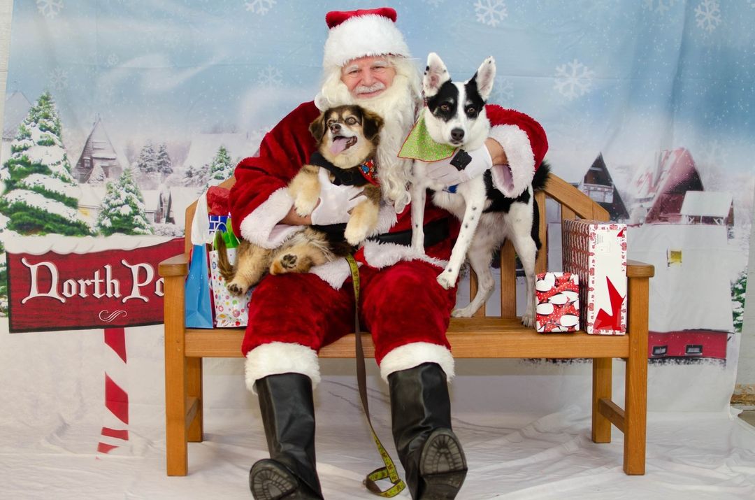 Santa Paws is coming to town!! Get your pet's photo with Santa at @huronpetsupply Dec 4 & 5, from 11-3 both days 🎅

For a $10 donation to HSHV you get a digital copy of your photo, and for a $15 donation you also get a 4x6 print in a holiday frame 🐾 There's no pre-registration required, just drop in!