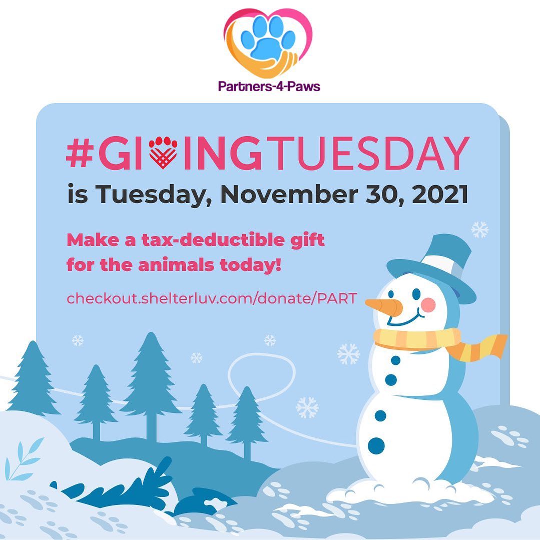 It’s that time of year. Please consider a donation to help us care for our rescued animals.