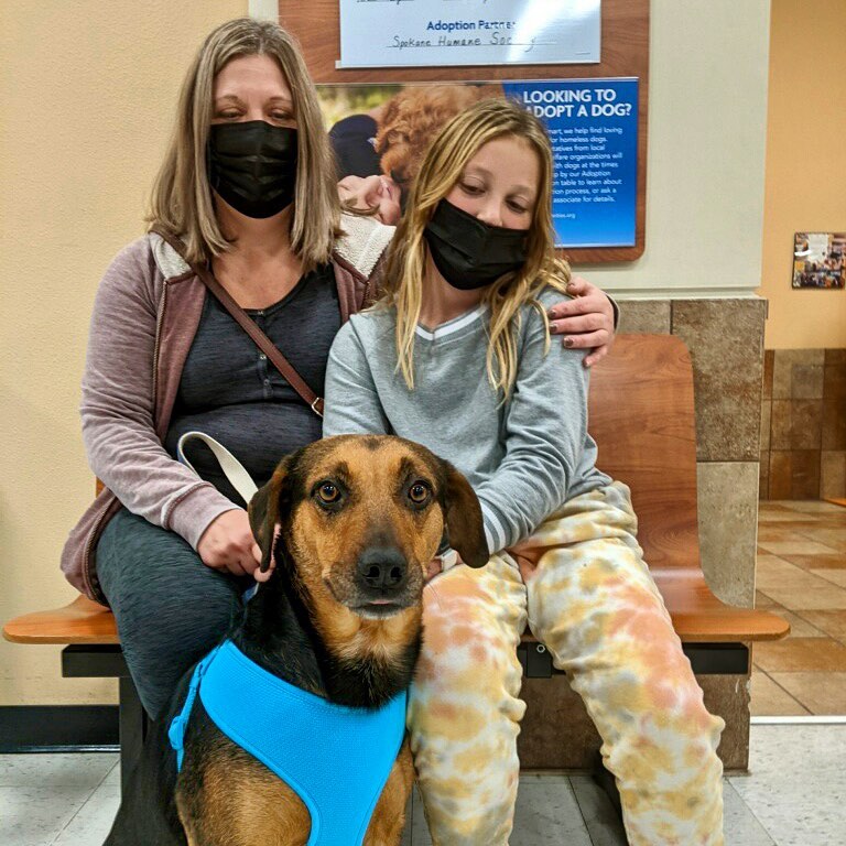 Bee bee got to go home for her first Thanksgiving with her forever family.🐾 

<a target='_blank' href='https://www.instagram.com/explore/tags/adoptdontshop/'>#adoptdontshop</a> <a target='_blank' href='https://www.instagram.com/explore/tags/spokanehumanesociety/'>#spokanehumanesociety</a> <a target='_blank' href='https://www.instagram.com/explore/tags/petsmartcharities/'>#petsmartcharities</a> <a target='_blank' href='https://www.instagram.com/explore/tags/adopteddogsofinstagram/'>#adopteddogsofinstagram</a> <a target='_blank' href='https://www.instagram.com/explore/tags/foreverhome/'>#foreverhome</a>