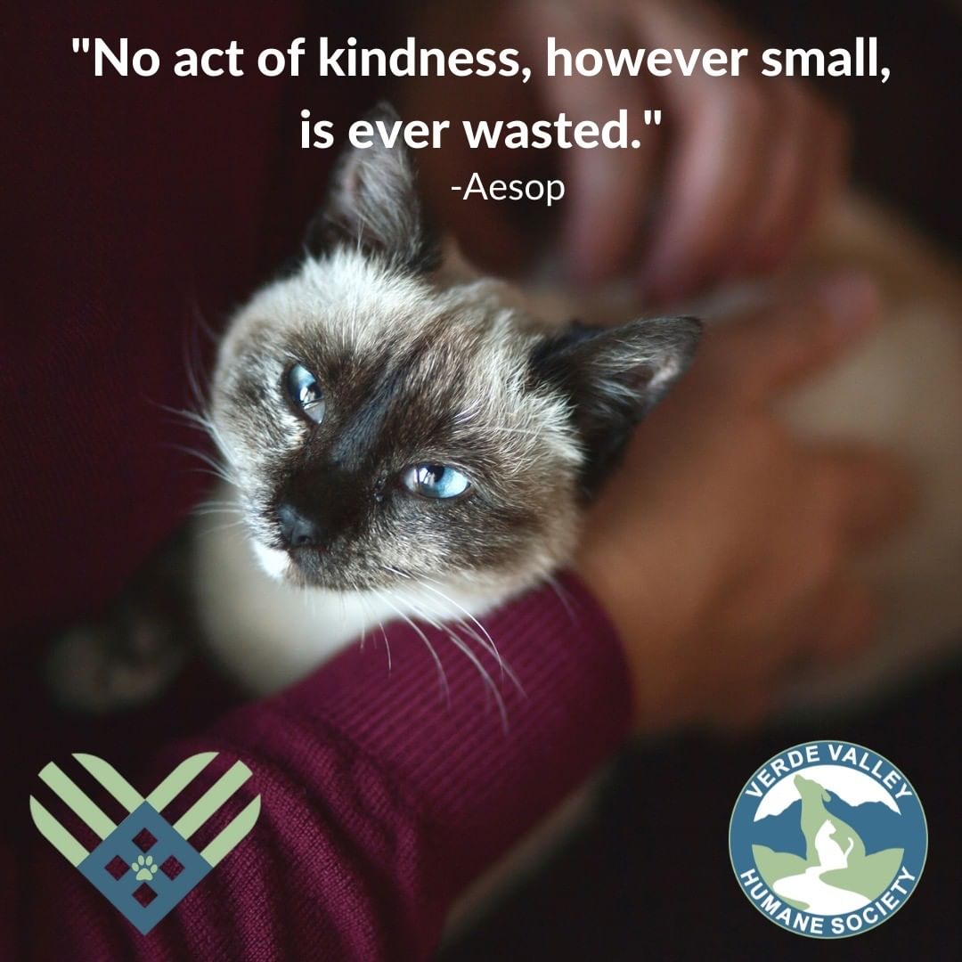 Giving Tuesday is next Tuesday!  Mark your calendars for November 30th and join us!  Because no matter what is happening in the world, the Verde Valley's homeless, injured, ill and unwanted pets are still counting on us.  <a target='_blank' href='https://www.instagram.com/explore/tags/GivingTuesday/'>#GivingTuesday</a> <a target='_blank' href='https://www.instagram.com/explore/tags/VVHSCares/'>#VVHSCares</a>