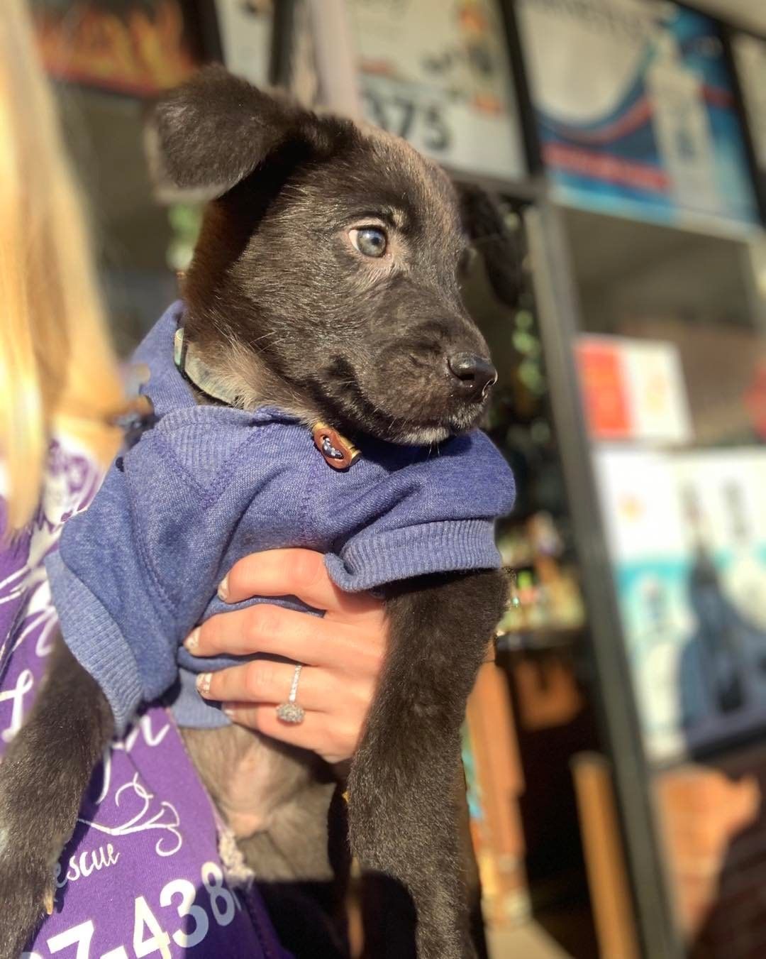 Newt and Neptune are hanging out with us at Waterway Plaza Liquors come and meet them before it gets too chilly!