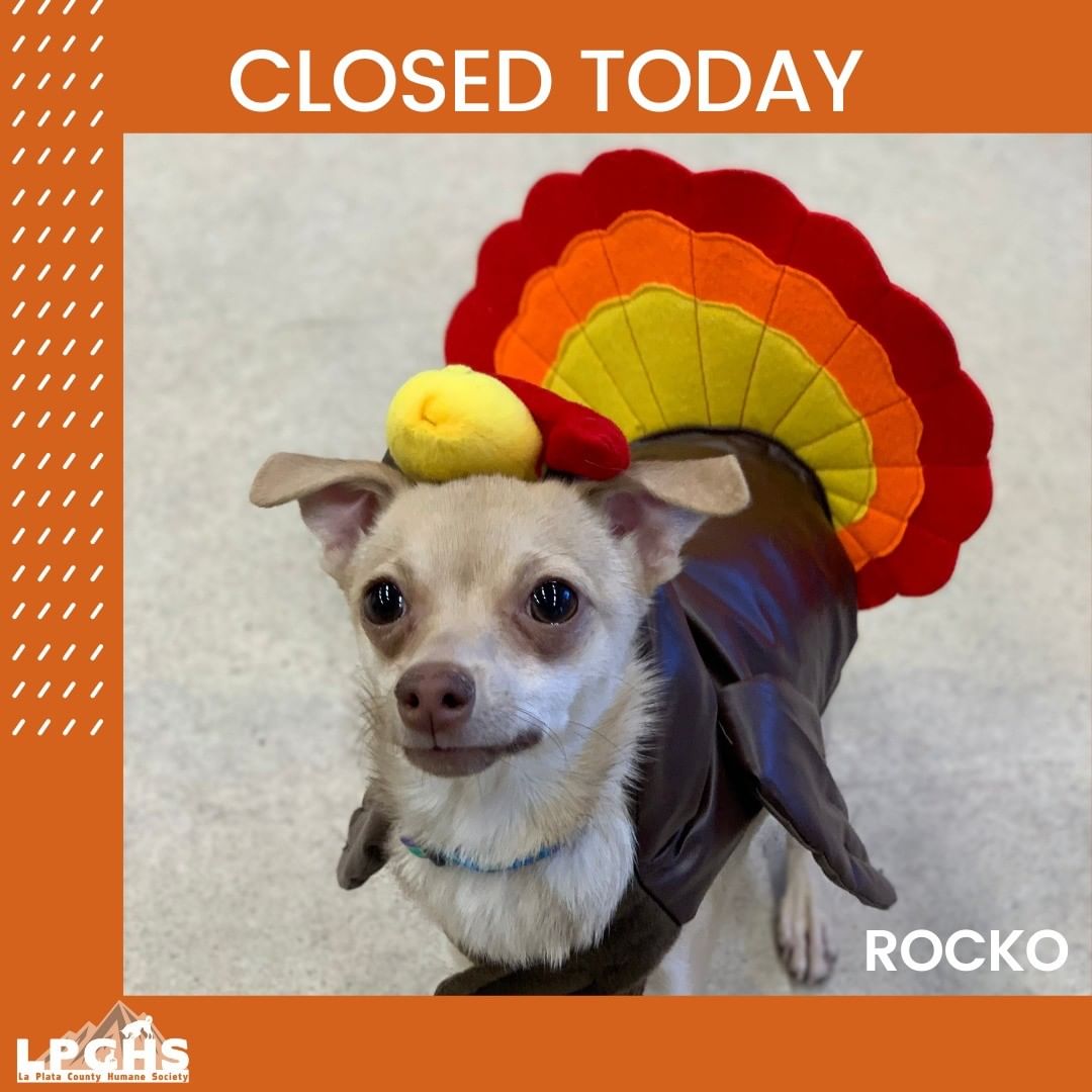 Happy Thanksgiving from all of us at LPCHS! 

We are closed to day and will resume normal business hours tomorrow, Friday, Nov. 26th at 11 a.m.

If  you have an animal emergency of suspect animal abuse, please contact Animal Protection through Central Dispatch at (970) 385-2900.

Have a great holiday!

<a target='_blank' href='https://www.instagram.com/explore/tags/happythanksgivng/'>#happythanksgivng</a>  <a target='_blank' href='https://www.instagram.com/explore/tags/adoptlocal/'>#adoptlocal</a>  <a target='_blank' href='https://www.instagram.com/explore/tags/LPCHS/'>#LPCHS</a>