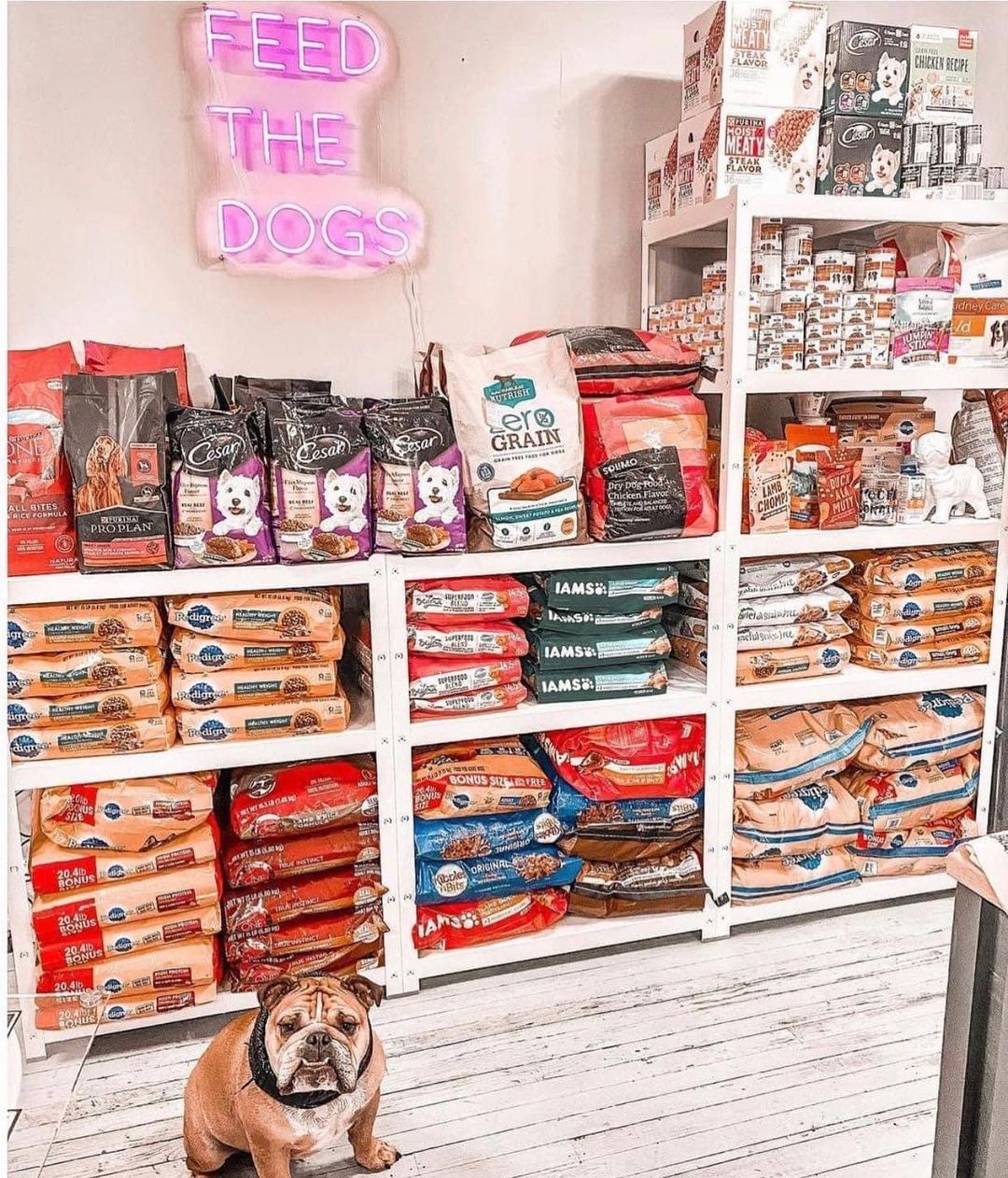 Did y’all know we aren’t just a bulldog rescue ⁉️ 

Our brick and mortar space in Bellevue (we see Cincinnati’s skyline from our window) houses our areas only PET FOOD PANTRY. 

What is The Pantry? Great question!
•
It's a FREE service to members of our community who have fallen upon RUFF times and need assistance feeding their dogs. 
With no questions asked, we provide a months worth of food for up to 3️⃣ dogs per household. And we’re able to do this by donations from our INCREDIBLE supporters (YOU!)👏🏼. 
••

The Pantry is open on the FIRST and THIRD Sunday of every month.
•••

➡️IMPORTANT CHANGE⬅️

The Pantry will now operate on a FIRST COME FIRST SERVE BASIS WHILE SUPPLIES LASTS! This means, no more appointment is required. 

🗓 NEXT PANTRY DATE: 🗓 

To learn more about The Pantry 👉
https://queencitybulldogrescue.com/pet-food-pantry/

If you’d like to donate food to The Pantry (Spoiler Alert: It's EMPTY right now and could use some extra holiday lovin') 👉🏻 Pantry Wishlist at the link in our profile! 

We love being able to provide this service to all breeds of dogs and their owners in our community and THANK YOU for rallying around us when we need you most with generous donations. 

<a target='_blank' href='https://www.instagram.com/explore/tags/QueenCityBulldogRescue/'>#QueenCityBulldogRescue</a>
<a target='_blank' href='https://www.instagram.com/explore/tags/ThePantry/'>#ThePantry</a>
<a target='_blank' href='https://www.instagram.com/explore/tags/FeedTheDogs/'>#FeedTheDogs</a>