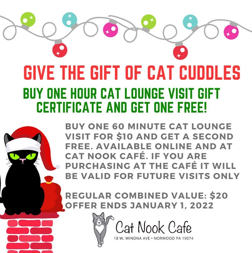 Do you like to stop by @thecatnookcafe often? Haven’t been there but wanted to try it out? This is the perfect deal for you! By 160 minute gift certificate get a second free! Two for one! You can’t beat this deal! ♥️

https://catnookcafe.com/purchase-gift-cards/?mc_cid=4ab0995108&mc_eid=e345e8c911