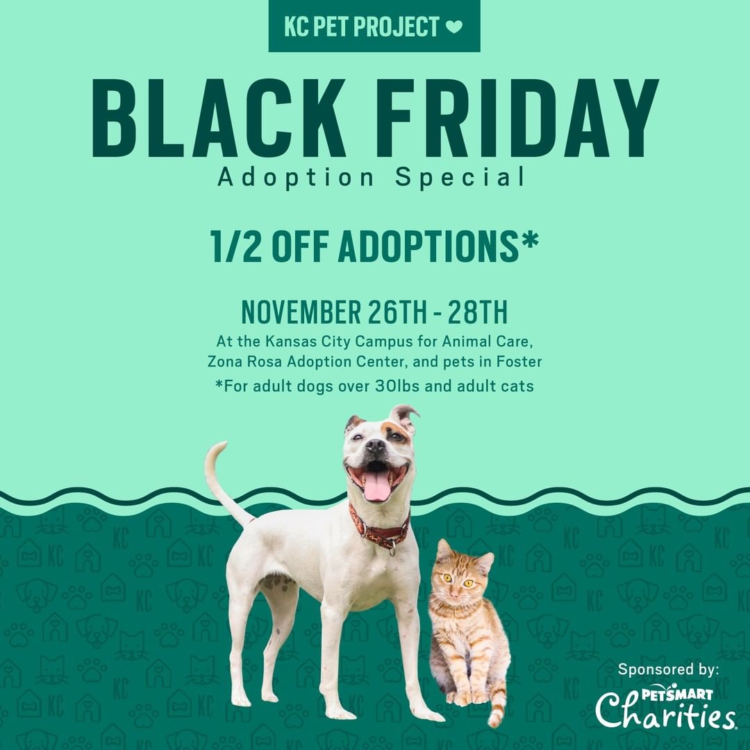 Kick off the holiday season by adopting a new best friend! Join us for our Black Friday Adoption Special, sponsored by PetSmart Charities, that will run Friday, November 26th through Sunday, November 28th at the KC Campus for Animal Care and our Zona Rosa Adoption Center. Pets in foster homes also qualify for the special. We'll be offering 1/2 price adoptions on dogs and cats (puppies, kittens and specialty breeds are excluded from the special).

To see all of our pets, visit the link in our bio or download our free mobile app.