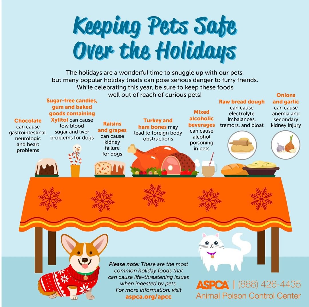 With Thanksgiving only a day away, it can be easy to get swept away in all the fun and food of the holidays! To keep the Thanksgiving festivities fun for the whole family, make sure to have a refresher on some of the @ASPCA's Holiday Safety tips!