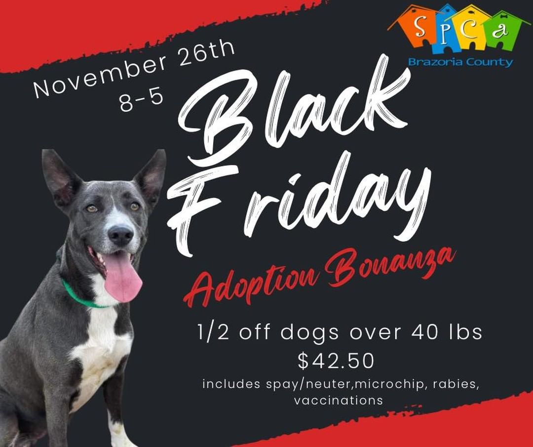 We have a shelter full of amazing dogs hoping to find a home this holiday season.  During our Black Friday Adoption Bonanza Event on November 26th, adoptions will be HALF off on dogs over 40 lbs.  We have gift baskets for the first three adoptions!