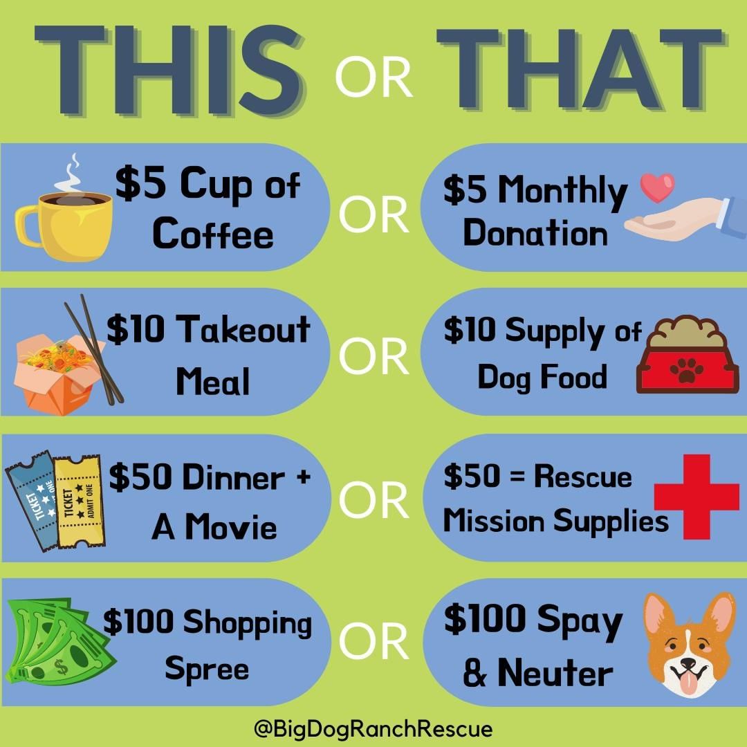 This holiday season, trade in one of your usual activities and excursions to help a dog in need! Your donation could help feed a dog, cover medical expenses, provide supplies, fund a rescue mission, and more! 🐶🦴⛑

As we close out Giving Tuesday, the global day of giving, two generous donors are matching ALL donations up to $100,000. That means when you donate between today and November 30th, your donation is immediately doubled! 

➡Donate today at www.bdrr.org/giving-tuesday