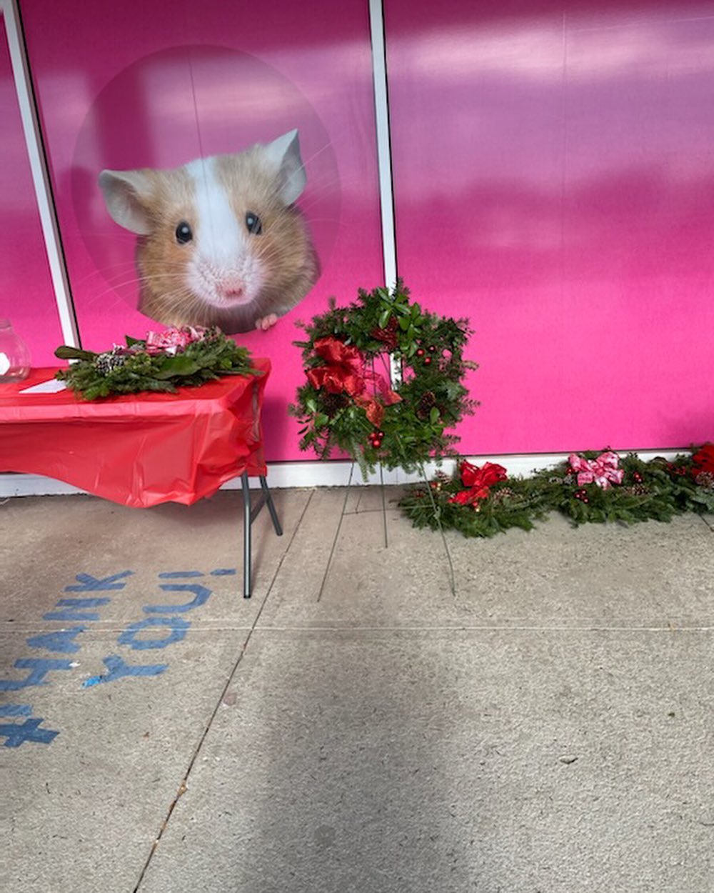 So many wonderful goodies, crafts and beautiful locally made fresh wreaths at Petsmart in Turnersville!🌲 Please stop by and help support homeless and hurting cats and kittens!💚♥️
<a target='_blank' href='https://www.instagram.com/explore/tags/youmakeadifference/'>#youmakeadifference</a> 
<a target='_blank' href='https://www.instagram.com/explore/tags/thankyouforsupportingus/'>#thankyouforsupportingus</a> 
<a target='_blank' href='https://www.instagram.com/explore/tags/rescuedisthebestbreed/'>#rescuedisthebestbreed</a>