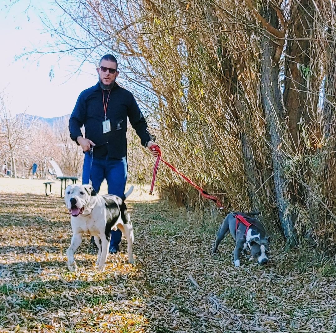 Happy days! We have a <a target='_blank' href='https://www.instagram.com/explore/tags/happytails/'>#happytails</a> adoption post for Jax 🐕 ❤. Titan was so happy to meet his new brother and the smile on Jax's face says it all! We are all so happy he gets a fresh start to his new beginning. Jax never gave up how and neither did we ❤. <a target='_blank' href='https://www.instagram.com/explore/tags/secondchances/'>#secondchances</a> <a target='_blank' href='https://www.instagram.com/explore/tags/secondchanceadoption/'>#secondchanceadoption</a>. <a target='_blank' href='https://www.instagram.com/explore/tags/adopteddog/'>#adopteddog</a> <a target='_blank' href='https://www.instagram.com/explore/tags/happydog/'>#happydog</a> <a target='_blank' href='https://www.instagram.com/explore/tags/happydoghappylife/'>#happydoghappylife</a> <a target='_blank' href='https://www.instagram.com/explore/tags/naawa/'>#naawa</a> <a target='_blank' href='https://www.instagram.com/explore/tags/trinidadco/'>#trinidadco</a>