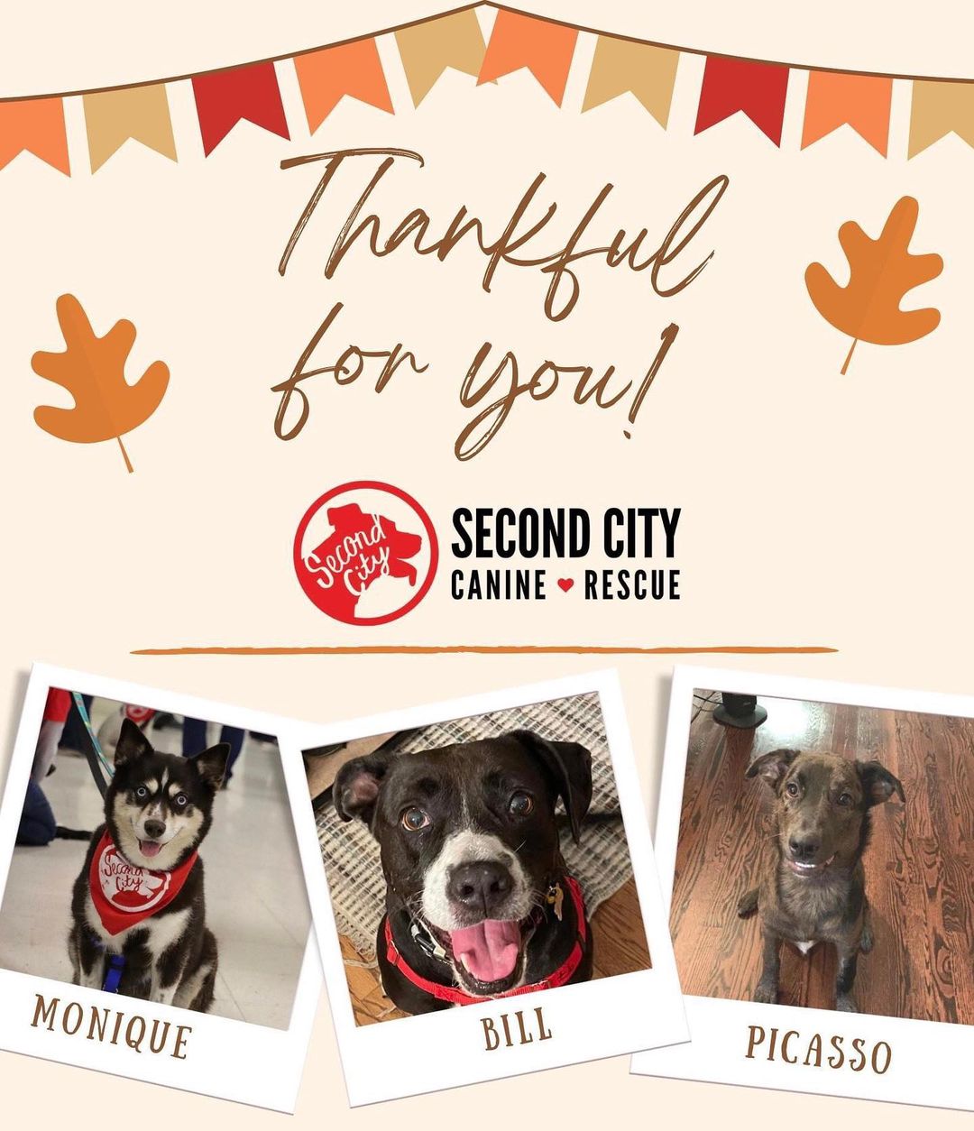 To all of our incredible volunteers, adopters, donors, and supporters...THANK YOU for supporting our mission all year long. We're able to Rescue Responsibly and have found forever homes for thousands of dogs because of you!

We hope you enjoy the day with your family and friends, and don't forget to toss your furry friends a few extra pieces of turkey!