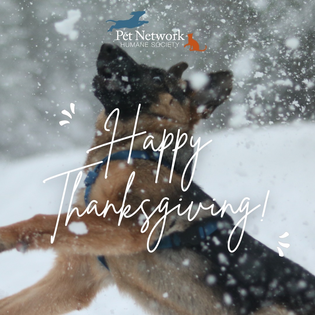 Happy Thanksgiving to all Pet Network families past, present, and future!