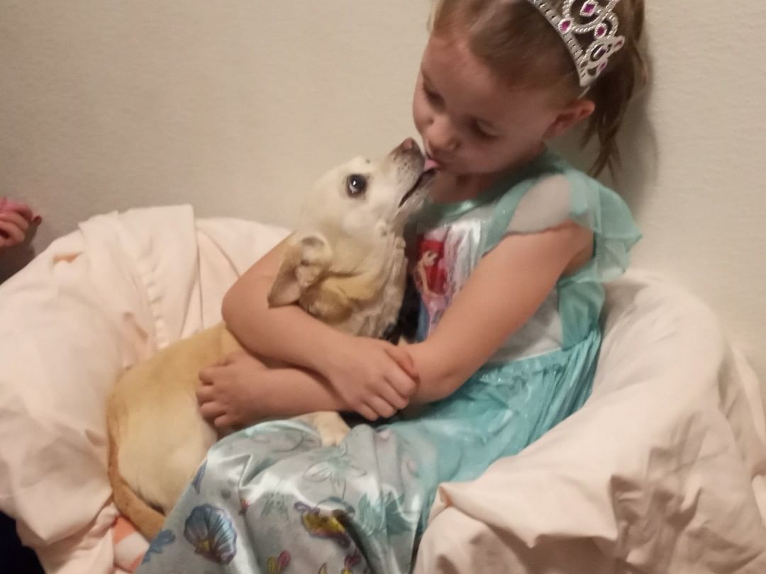 Good night from two princesses. 

<a target='_blank' href='https://www.instagram.com/explore/tags/ruby/'>#ruby</a> <a target='_blank' href='https://www.instagram.com/explore/tags/bedtimekisses/'>#bedtimekisses</a> <a target='_blank' href='https://www.instagram.com/explore/tags/princesses/'>#princesses</a>