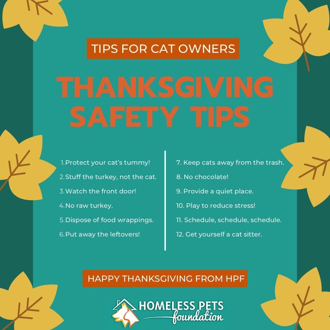 Keep your Cats Safe today and follow these tips!

<a target='_blank' href='https://www.instagram.com/explore/tags/homelesspetsfoundation/'>#homelesspetsfoundation</a> <a target='_blank' href='https://www.instagram.com/explore/tags/thanksgivingsafety/'>#thanksgivingsafety</a> <a target='_blank' href='https://www.instagram.com/explore/tags/cats/'>#cats</a> <a target='_blank' href='https://www.instagram.com/explore/tags/catsofig/'>#catsofig</a>