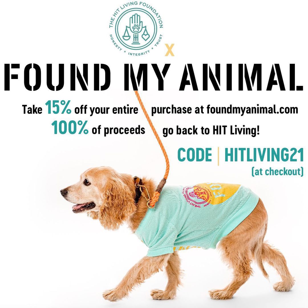 Holiday shopping and giving back to life saving efforts all in one spot? Sign us up! Our friends at @foundmyanimal are offering you 15% off with 100% of proceeds coming back to HIT Living when you use the code HITLIVING21 at checkout! ❄️

Featured model is little Miss Sally Sunshine, now available for adoption. Learn more at hitlivingfoundation.org 💛
📸 by @charlienunnphotography 

<a target='_blank' href='https://www.instagram.com/explore/tags/hitliving/'>#hitliving</a> <a target='_blank' href='https://www.instagram.com/explore/tags/foundlove/'>#foundlove</a> <a target='_blank' href='https://www.instagram.com/explore/tags/foundmyanimal/'>#foundmyanimal</a> <a target='_blank' href='https://www.instagram.com/explore/tags/shopsmall/'>#shopsmall</a> <a target='_blank' href='https://www.instagram.com/explore/tags/shopsmallbusiness/'>#shopsmallbusiness</a> <a target='_blank' href='https://www.instagram.com/explore/tags/smallbusinesssaturday/'>#smallbusinesssaturday</a> <a target='_blank' href='https://www.instagram.com/explore/tags/givingtuesday/'>#givingtuesday</a> <a target='_blank' href='https://www.instagram.com/explore/tags/giveback/'>#giveback</a> <a target='_blank' href='https://www.instagram.com/explore/tags/dogleash/'>#dogleash</a> <a target='_blank' href='https://www.instagram.com/explore/tags/doggear/'>#doggear</a>