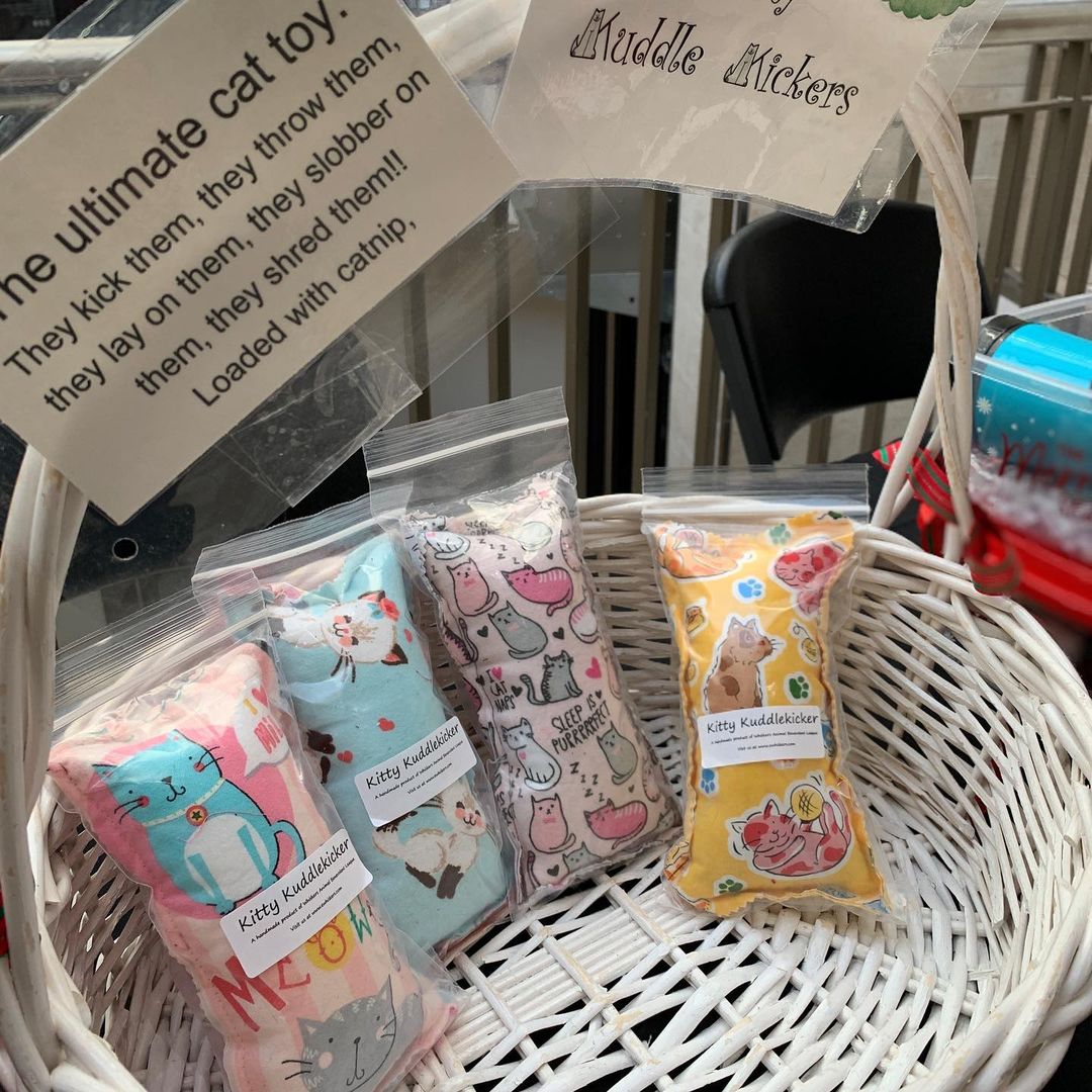 We’ll be at @crossgates_mall today and tomorrow selling some cute items to benefit our rescue! 🧡 Feel free to stop by and say hi, and get some holiday shopping in! 🛍 (inside, second floor by Best Buy)