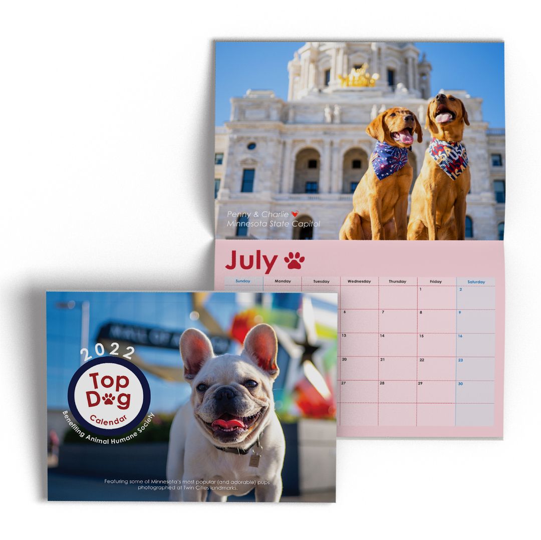 Shop for good this Black Friday! ❤️ Minnesota's Top Dogs calendar is the perfect gift for the animal lovers on your list — and proceeds benefit Animal Humane Society. 🐾 Get your paws on them at the link in our bio, or any @lovefrommn store.