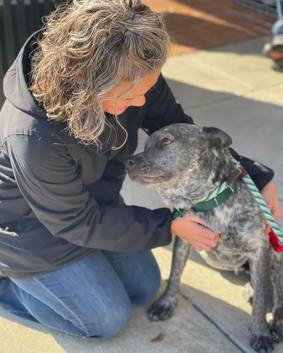 Peeler had a great time at the event today!🎄🎅🏻🐾
••

<a target='_blank' href='https://www.instagram.com/explore/tags/OneLoveAnimalRescue/'>#OneLoveAnimalRescue</a> <a target='_blank' href='https://www.instagram.com/explore/tags/Adopt/'>#Adopt</a> <a target='_blank' href='https://www.instagram.com/explore/tags/AdoptDontShop/'>#AdoptDontShop</a> <a target='_blank' href='https://www.instagram.com/explore/tags/Adoption/'>#Adoption</a> <a target='_blank' href='https://www.instagram.com/explore/tags/AdoptDogs/'>#AdoptDogs</a> <a target='_blank' href='https://www.instagram.com/explore/tags/RescueDogsOfInstagram/'>#RescueDogsOfInstagram</a> <a target='_blank' href='https://www.instagram.com/explore/tags/Rescued/'>#Rescued</a>  <a target='_blank' href='https://www.instagram.com/explore/tags/RescueDogsRule/'>#RescueDogsRule</a> <a target='_blank' href='https://www.instagram.com/explore/tags/TransportSavesLives/'>#TransportSavesLives</a>  <a target='_blank' href='https://www.instagram.com/explore/tags/RescueDogsOfIG/'>#RescueDogsOfIG</a>  <a target='_blank' href='https://www.instagram.com/explore/tags/RescuePetsOfInstagram/'>#RescuePetsOfInstagram</a> <a target='_blank' href='https://www.instagram.com/explore/tags/Foster/'>#Foster</a> <a target='_blank' href='https://www.instagram.com/explore/tags/FosterDog/'>#FosterDog</a>