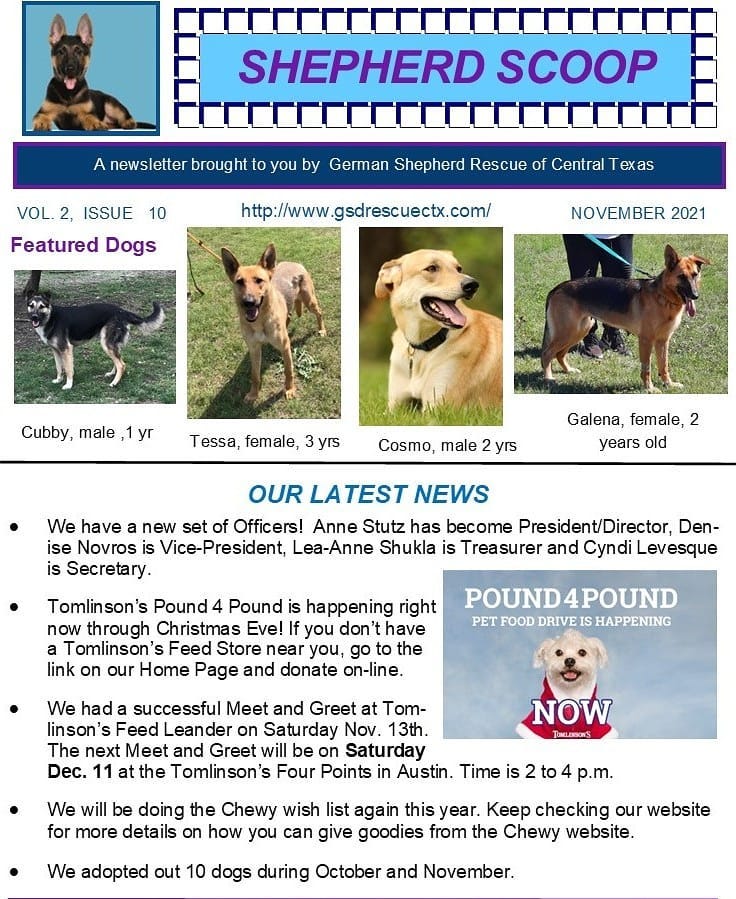 Our November newsletter Shepherd Scoop will bring you up to date on what's happening with our Rescue. Also read about pet safety for senior and disabled pets. Read it on our website or sign up to receive it monthly via Mailchimp.  <a target='_blank' href='https://www.instagram.com/explore/tags/adoptdontshop/'>#adoptdontshop</a> <a target='_blank' href='https://www.instagram.com/explore/tags/germanshepherds/'>#germanshepherds</a> <a target='_blank' href='https://www.instagram.com/explore/tags/germanshepherdsofinstagram/'>#germanshepherdsofinstagram</a> <a target='_blank' href='https://www.instagram.com/explore/tags/germanshepherdsofaustin/'>#germanshepherdsofaustin</a> <a target='_blank' href='https://www.instagram.com/explore/tags/germanshepherds/'>#germanshepherds</a> <a target='_blank' href='https://www.instagram.com/explore/tags/germanshepherdsofdallas/'>#germanshepherdsofdallas</a> <a target='_blank' href='https://www.instagram.com/explore/tags/germansherperdlovers/'>#germansherperdlovers</a> <a target='_blank' href='https://www.instagram.com/explore/tags/germanshepherdlovers/'>#germanshepherdlovers</a> <a target='_blank' href='https://www.instagram.com/explore/tags/ilovegermanshepherds/'>#ilovegermanshepherds</a> <a target='_blank' href='https://www.instagram.com/explore/tags/ilovegermanshepherddogs/'>#ilovegermanshepherddogs</a>