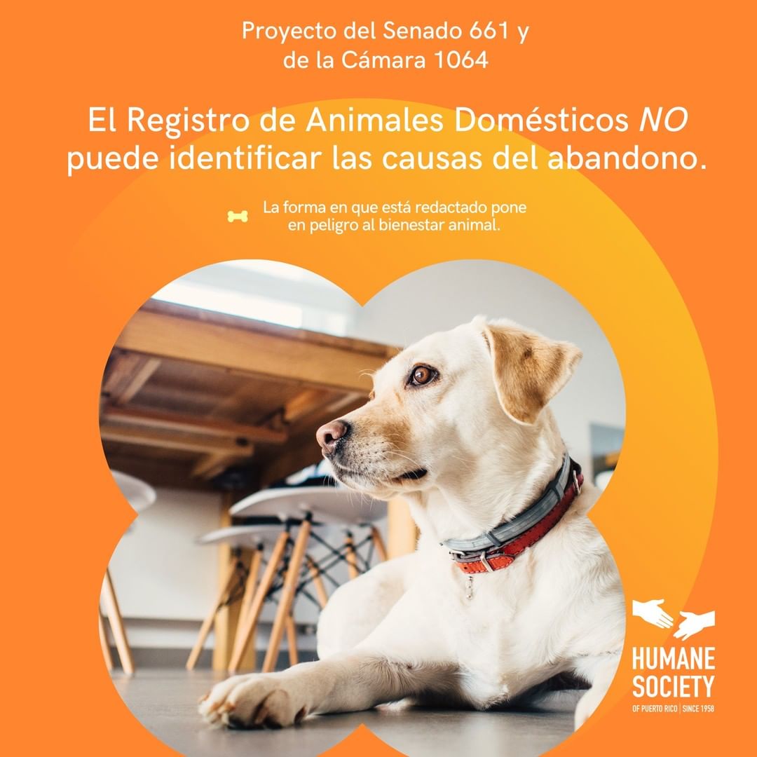 El Registro Obligatorio de Animales de Compañía NO identifica las causas de abandono. El abandono se atiende a través de campañas preventivas como esterilizaciones y vacunaciones a bajo o libre de costo y la aplicación correcta de la Ley 154 del 4 de agosto de 2008.

Bajo premisas equivocadas, está corriendo una campaña de apoyo al registro de mascotas obligatorio. Falta información y análisis profundo para adaptarlo a nuestro país. The Humane Society of PR apoya la postura de la @federacionprotectoradeanimales Federación Protectora de Animales y se opone a los Proyectos del Senado 661 y Cámara 1064 en la forma en que están redactados.

Pídele a tu representante que los retiren, devuelvan a la mesa de trabajo y que incluyan organizaciones con experiencia en el tema.

<a target='_blank' href='https://www.instagram.com/explore/tags/noalpds661/'>#noalpds661</a> <a target='_blank' href='https://www.instagram.com/explore/tags/noalpdlc1064/'>#noalpdlc1064</a> <a target='_blank' href='https://www.instagram.com/explore/tags/humanepr/'>#humanepr</a> <a target='_blank' href='https://www.instagram.com/explore/tags/registroobligatorio/'>#registroobligatorio</a> <a target='_blank' href='https://www.instagram.com/explore/tags/registrocompulsorio/'>#registrocompulsorio</a> <a target='_blank' href='https://www.instagram.com/explore/tags/perro/'>#perro</a> <a target='_blank' href='https://www.instagram.com/explore/tags/gato/'>#gato</a> <a target='_blank' href='https://www.instagram.com/explore/tags/caballo/'>#caballo</a>