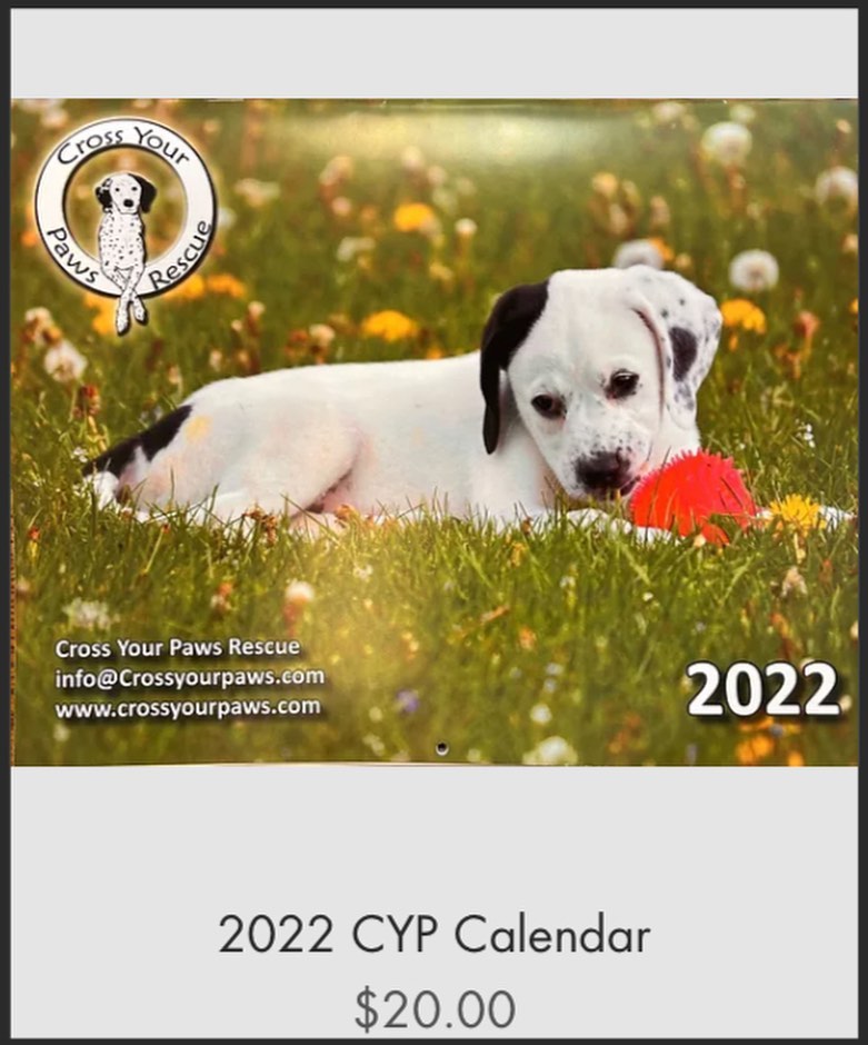 ✨New Merch just in time for the holidays! ✨

Not only do we have new shirts and hoodies but lets not forget our annual calendar! Get yours before the new year!

Make sure to check out crossyourpaws.com!

<a target='_blank' href='https://www.instagram.com/explore/tags/cyprescue/'>#cyprescue</a> <a target='_blank' href='https://www.instagram.com/explore/tags/crossyourpaws/'>#crossyourpaws</a> <a target='_blank' href='https://www.instagram.com/explore/tags/crossyourpawsrescue/'>#crossyourpawsrescue</a> <a target='_blank' href='https://www.instagram.com/explore/tags/rescue/'>#rescue</a>  <a target='_blank' href='https://www.instagram.com/explore/tags/muttsofinstagram/'>#muttsofinstagram</a> <a target='_blank' href='https://www.instagram.com/explore/tags/dogsofinstagram/'>#dogsofinstagram</a> <a target='_blank' href='https://www.instagram.com/explore/tags/dogsofinsta/'>#dogsofinsta</a> <a target='_blank' href='https://www.instagram.com/explore/tags/instadog/'>#instadog</a> <a target='_blank' href='https://www.instagram.com/explore/tags/instagramdogs/'>#instagramdogs</a> <a target='_blank' href='https://www.instagram.com/explore/tags/rescuedogsofinstagram/'>#rescuedogsofinstagram</a> <a target='_blank' href='https://www.instagram.com/explore/tags/adoptdontshop/'>#adoptdontshop</a> <a target='_blank' href='https://www.instagram.com/explore/tags/dogsofpittsburgh/'>#dogsofpittsburgh</a> <a target='_blank' href='https://www.instagram.com/explore/tags/pittsburghdogs/'>#pittsburghdogs</a> <a target='_blank' href='https://www.instagram.com/explore/tags/rescuedog/'>#rescuedog</a> <a target='_blank' href='https://www.instagram.com/explore/tags/spayandneuter/'>#spayandneuter</a> <a target='_blank' href='https://www.instagram.com/explore/tags/fosteringsaveslives/'>#fosteringsaveslives</a> <a target='_blank' href='https://www.instagram.com/explore/tags/rescuedismyfavoritebreed/'>#rescuedismyfavoritebreed</a> <a target='_blank' href='https://www.instagram.com/explore/tags/merch/'>#merch</a> <a target='_blank' href='https://www.instagram.com/explore/tags/newmerch/'>#newmerch</a> <a target='_blank' href='https://www.instagram.com/explore/tags/merchandise/'>#merchandise</a>