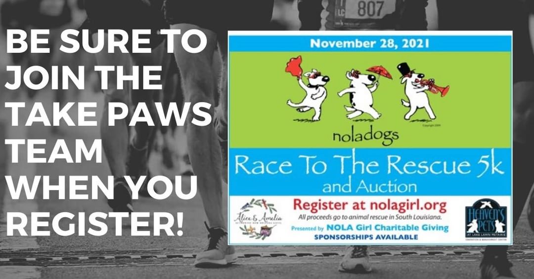 It’s not too late to join our team for the @nolagirlcharitablegiving Race to the Rescue 5k!! There is both an in person and virtual race option - so anyone can participate. Check out nolagirl.org for more information and to get registered.