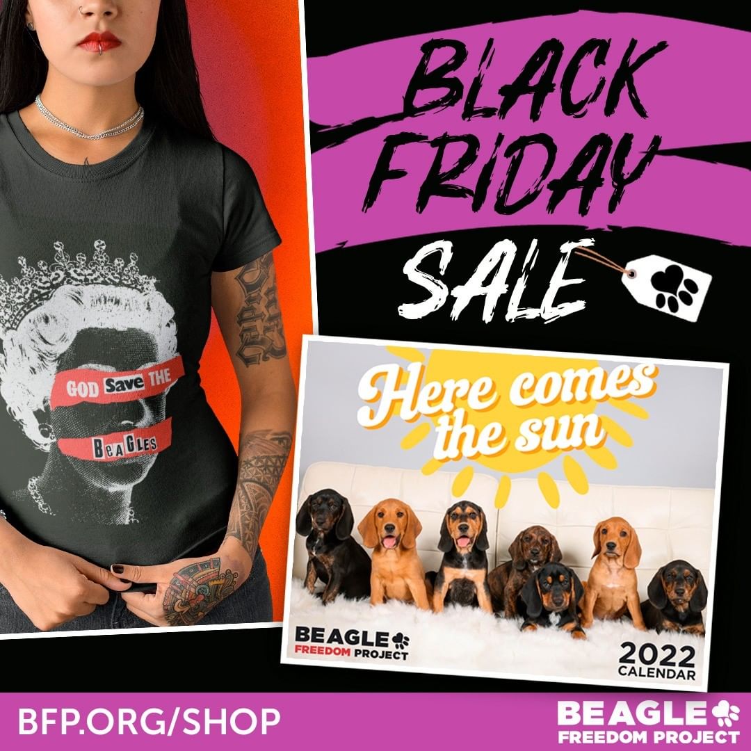 Our Black Friday sale in on now! Many items are 25% off. No discount code needed and the discount will be applied at checkout: BFP.ORG/Shop.

____________________

We are also @BFPCanada and @CrueltyCutter. <a target='_blank' href='https://www.instagram.com/explore/tags/BlackFriday/'>#BlackFriday</a> <a target='_blank' href='https://www.instagram.com/explore/tags/AnimalTesting/'>#AnimalTesting</a> <a target='_blank' href='https://www.instagram.com/explore/tags/BlackFridaySale/'>#BlackFridaySale</a> <a target='_blank' href='https://www.instagram.com/explore/tags/Beagle/'>#Beagle</a> <a target='_blank' href='https://www.instagram.com/explore/tags/BeaglesOfInstagram/'>#BeaglesOfInstagram</a>