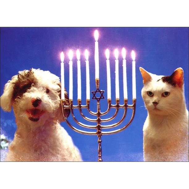 Happy Hanukkah!