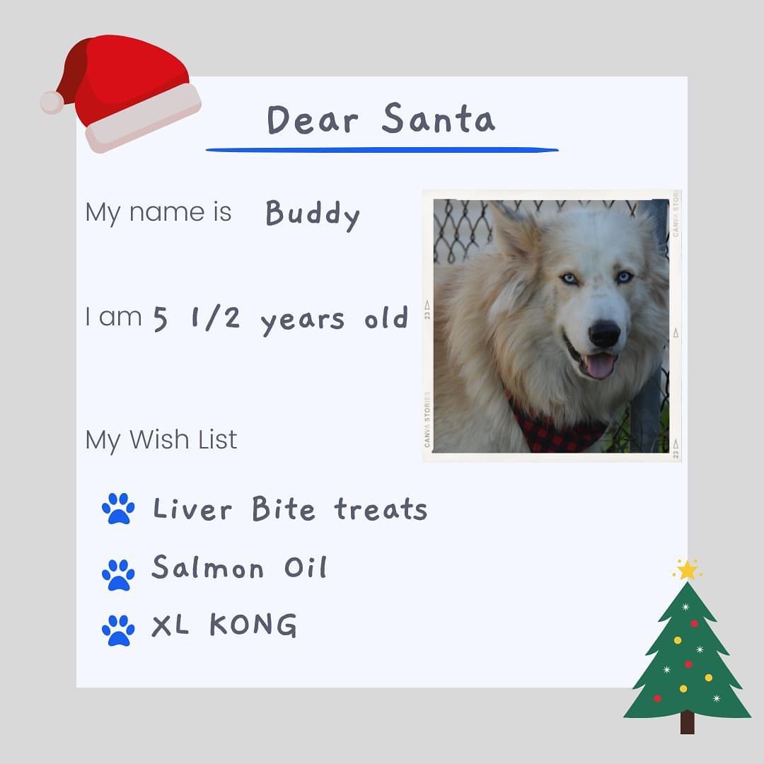 The shelter dogs have written their letters to Santa! 📬

While their number one wish is to be adopted and in a home, there are items that would make a difference in their stay at the shelter. 

With less than a month until Christmas, we are sharing their Wish Lists and hope to be able to give each dog a special gift! If the dog is adopted, their gift will be shared with any new dogs in the shelter. 

Love from, 
Jake, Buddy, Lucy, Casper & Troy!

<a target='_blank' href='https://www.instagram.com/explore/tags/shelterdogs/'>#shelterdogs</a> <a target='_blank' href='https://www.instagram.com/explore/tags/lettertosanta/'>#lettertosanta</a> <a target='_blank' href='https://www.instagram.com/explore/tags/rescuedogsofinstagram/'>#rescuedogsofinstagram</a> <a target='_blank' href='https://www.instagram.com/explore/tags/wishlist/'>#wishlist</a> <a target='_blank' href='https://www.instagram.com/explore/tags/dogs/'>#dogs</a> <a target='_blank' href='https://www.instagram.com/explore/tags/christmas/'>#christmas</a> <a target='_blank' href='https://www.instagram.com/explore/tags/santapaws/'>#santapaws</a> 
@kongcompany @bennybullys @walnutgroveboarding @justinspetstore @allcreaturescobourg @petvaluporthope @paulmacspets