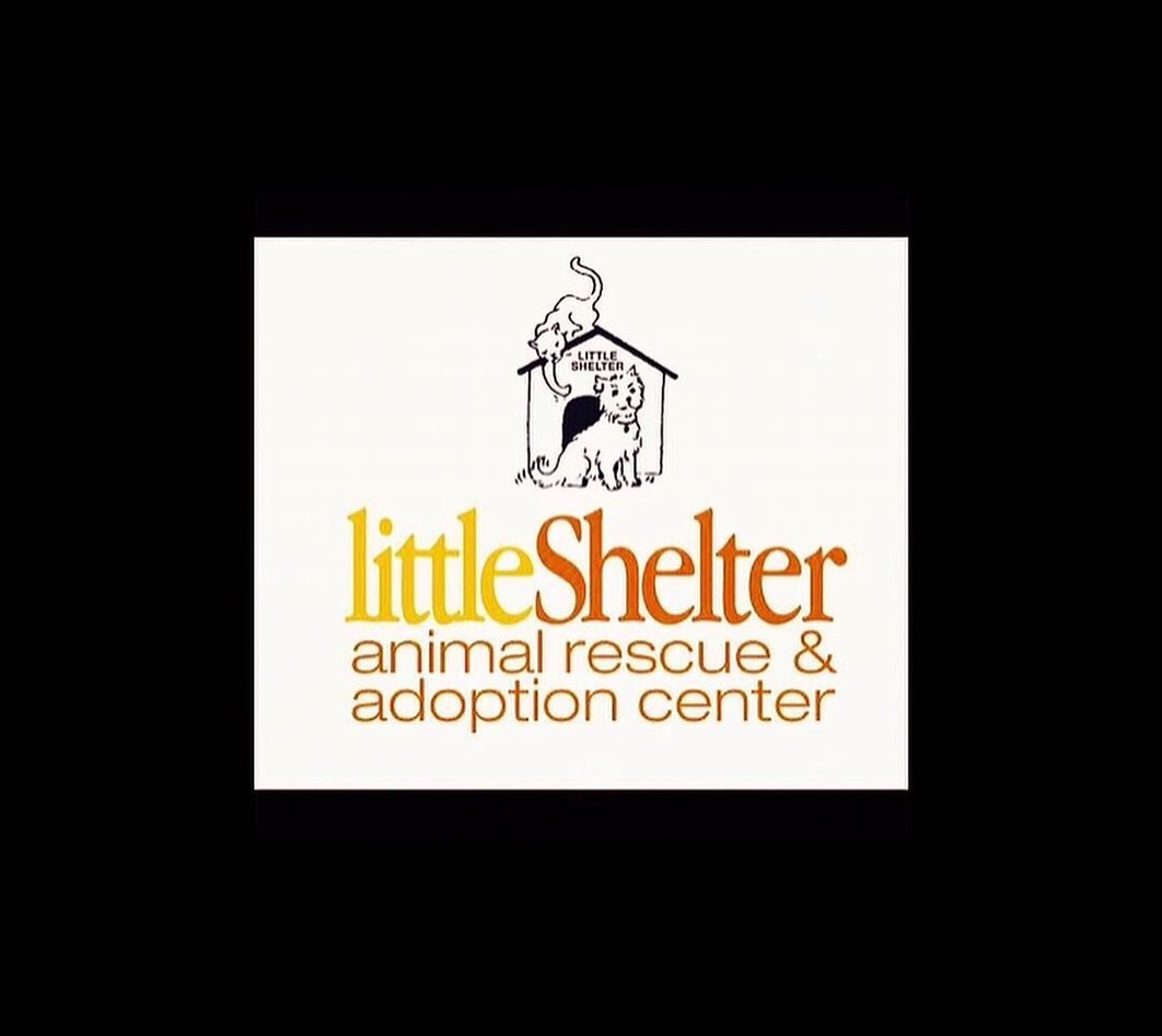 THE PERFECT HOLIDAY GIFT… Tickets sell out faster with each raffle!
Our last raffle sold out months prior to the event...
don't be left out!

Little Shelter's Fall-Winter Raffle Tickets are
Available Now! Tickets are $100 donation.
The previous raffle sold out in record time.
CALL TODAY!
Don't miss your chance to help animals in need!

To purchase tickets, call (631-368-8770 ex 21 <a target='_blank' href='https://www.instagram.com/explore/tags/calltoday/'>#calltoday</a> <a target='_blank' href='https://www.instagram.com/explore/tags/gottobeinittowinit/'>#gottobeinittowinit</a> <a target='_blank' href='https://www.instagram.com/explore/tags/littleshelteranimalrescue/'>#littleshelteranimalrescue</a> <a target='_blank' href='https://www.instagram.com/explore/tags/94years/'>#94years</a> <a target='_blank' href='https://www.instagram.com/explore/tags/savinglives/'>#savinglives</a> <a target='_blank' href='https://www.instagram.com/explore/tags/huntington/'>#huntington</a> <a target='_blank' href='https://www.instagram.com/explore/tags/longisland/'>#longisland</a> <a target='_blank' href='https://www.instagram.com/explore/tags/nyc/'>#nyc</a>