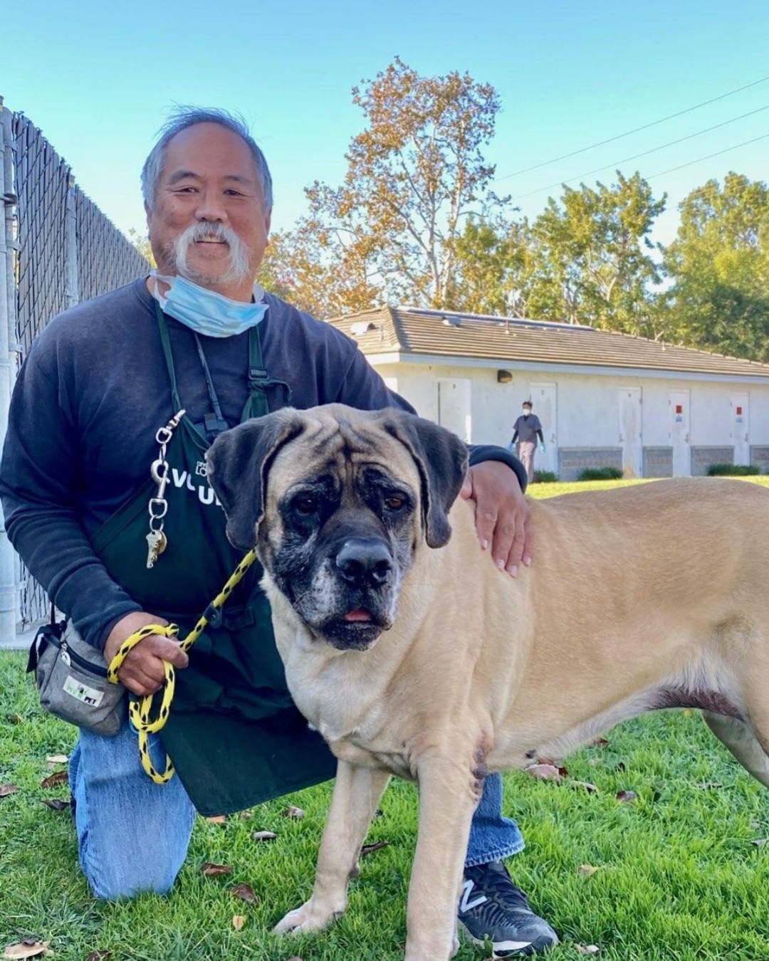 Happy Thanksgiving! It's still adopt a senior month and we're featuring two wonderful seniors today! Emma (A665727) and Elizabeth (A665731) are two girls who are as sweet as pumpkin pie. Please apply at adopets.com or email petadopt@longbeach.gov to make an appointment!