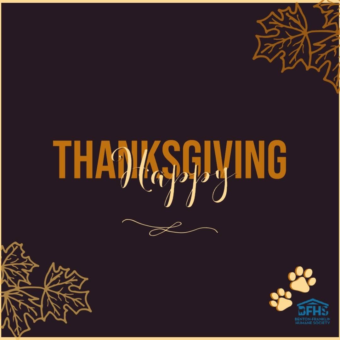 Happy Thanksgiving from all of us at the Benton-Franklin Humane Society.  We are so thankful for the incredible support from the community. 

While our staff are onsite to care for the animals, we are closed to the public today.  We will resume normal operations tomorrow from 11am-4pm.  Please note, cat viewings are open to the public.  All dog viewings and meet & greets remain by appointment only.  Available animals can be viewed on our website, www.bfhs.com.