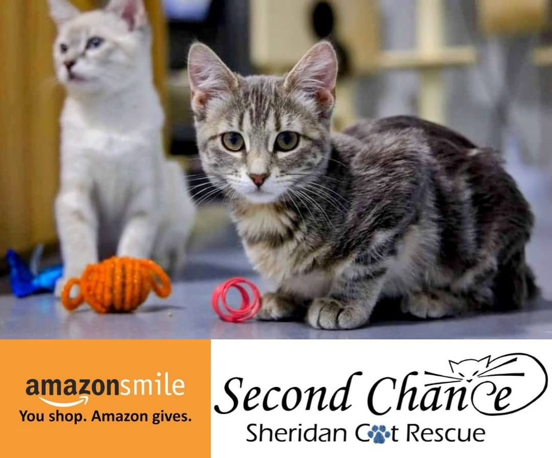 Did you know that you can benefit SCSCR this Cyber Monday and beyond with just a few clicks?

All you have to do is sign up for AmazonSmile and select SCSCR as your preferred charity!

How does AmazonSmile work?

When first visiting AmazonSmile, you will be prompted to select a charitable organization. Use the link below to select SCSCR! 

For eligible purchases at smile.amazon.com, the AmazonSmile Foundation will donate 0.5% of the purchase price to your selected charitable organization.

To start your AmazonSmile journey and help SCSCR’s lifesaving mission, visit smile.amazon.com/ch/27-1336749. Thank mew!