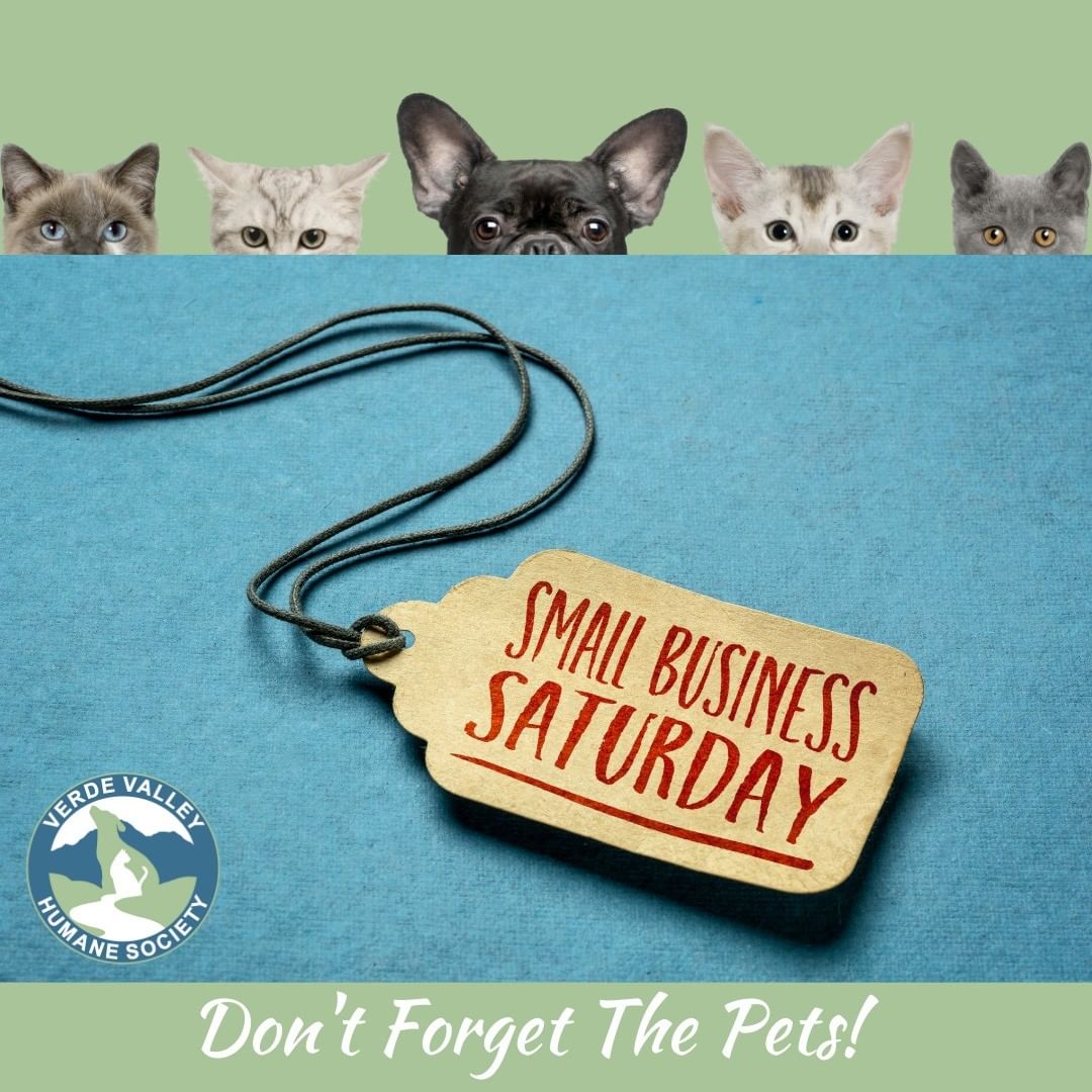 It's Small Business Saturday!  If you're making a point to support local businesses today, stop by and check out our lobby store - it's full of new and gently used items for your furry family members! Find us at 1520 W. Mingus in Cottonwood.  We're open 10 am to 4 pm today!  <a target='_blank' href='https://www.instagram.com/explore/tags/SmallBusinessSaturday/'>#SmallBusinessSaturday</a> <a target='_blank' href='https://www.instagram.com/explore/tags/VVHSCares/'>#VVHSCares</a> <a target='_blank' href='https://www.instagram.com/explore/tags/animalrescue/'>#animalrescue</a> <a target='_blank' href='https://www.instagram.com/explore/tags/shelter/'>#shelter</a> <a target='_blank' href='https://www.instagram.com/explore/tags/dogs/'>#dogs</a> <a target='_blank' href='https://www.instagram.com/explore/tags/cats/'>#cats</a> <a target='_blank' href='https://www.instagram.com/explore/tags/emergency/'>#emergency</a> <a target='_blank' href='https://www.instagram.com/explore/tags/charity/'>#charity</a> <a target='_blank' href='https://www.instagram.com/explore/tags/donate/'>#donate</a> <a target='_blank' href='https://www.instagram.com/explore/tags/shop/'>#shop</a> <a target='_blank' href='https://www.instagram.com/explore/tags/shopforacause/'>#shopforacause</a>