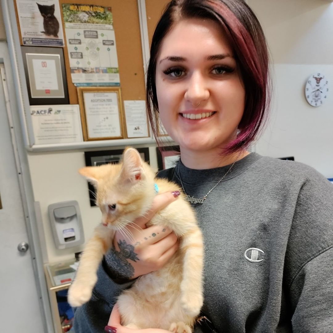 A grand total of 24 pets found homes for the holidays yesterday during our $58 Home for the Holidays special! What a day! 🎉

Pictured: Ham, Voodoo & Bones, Zuko & Rizzle, Bowser, Little Pumpkin, Thor, Mama, La La, Wrigley, and Cowboy!

See who's still patiently waiting for a home at our available pets page (link in bio!)

<a target='_blank' href='https://www.instagram.com/explore/tags/blackfriday/'>#blackfriday</a> <a target='_blank' href='https://www.instagram.com/explore/tags/adopted/'>#adopted</a> <a target='_blank' href='https://www.instagram.com/explore/tags/happytails/'>#happytails</a> <a target='_blank' href='https://www.instagram.com/explore/tags/morethanashelter/'>#morethanashelter</a> <a target='_blank' href='https://www.instagram.com/explore/tags/animalshelter/'>#animalshelter</a> <a target='_blank' href='https://www.instagram.com/explore/tags/humanesociety/'>#humanesociety</a> <a target='_blank' href='https://www.instagram.com/explore/tags/grandjunction/'>#grandjunction</a> <a target='_blank' href='https://www.instagram.com/explore/tags/westerncolorado/'>#westerncolorado</a>