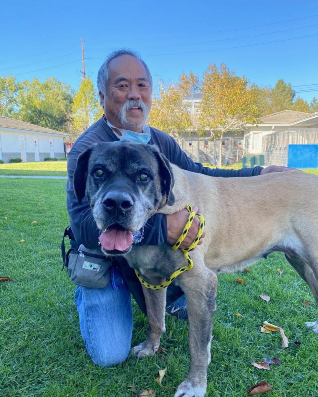 Happy Thanksgiving! It's still adopt a senior month and we're featuring two wonderful seniors today! Emma (A665727) and Elizabeth (A665731) are two girls who are as sweet as pumpkin pie. Please apply at adopets.com or email petadopt@longbeach.gov to make an appointment!