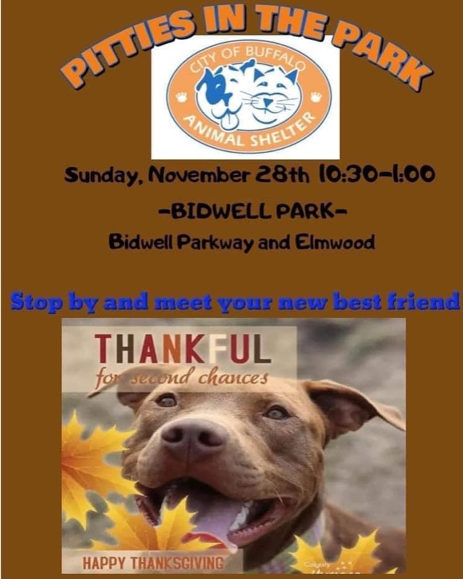 Thank you for coming out yesterday WNY! 🎉🐾🎉🐾
We adopted out 10 dogs 🐕 and 8 cats 🐈!!!

For those still waiting for their chance and adopters that are still looking,  come visit some of our dogs today at Pitties in the Park 🐶🌳🐶🌳 at Bidwell Park (corner of Elmwood & Bidwell) from 10:30-1:00