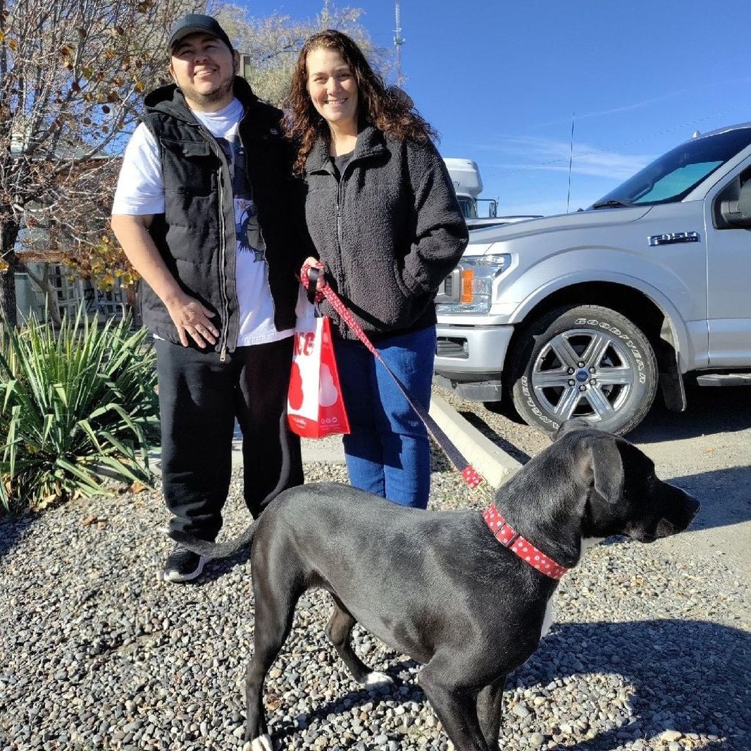 A grand total of 24 pets found homes for the holidays yesterday during our $58 Home for the Holidays special! What a day! 🎉

Pictured: Ham, Voodoo & Bones, Zuko & Rizzle, Bowser, Little Pumpkin, Thor, Mama, La La, Wrigley, and Cowboy!

See who's still patiently waiting for a home at our available pets page (link in bio!)

<a target='_blank' href='https://www.instagram.com/explore/tags/blackfriday/'>#blackfriday</a> <a target='_blank' href='https://www.instagram.com/explore/tags/adopted/'>#adopted</a> <a target='_blank' href='https://www.instagram.com/explore/tags/happytails/'>#happytails</a> <a target='_blank' href='https://www.instagram.com/explore/tags/morethanashelter/'>#morethanashelter</a> <a target='_blank' href='https://www.instagram.com/explore/tags/animalshelter/'>#animalshelter</a> <a target='_blank' href='https://www.instagram.com/explore/tags/humanesociety/'>#humanesociety</a> <a target='_blank' href='https://www.instagram.com/explore/tags/grandjunction/'>#grandjunction</a> <a target='_blank' href='https://www.instagram.com/explore/tags/westerncolorado/'>#westerncolorado</a>