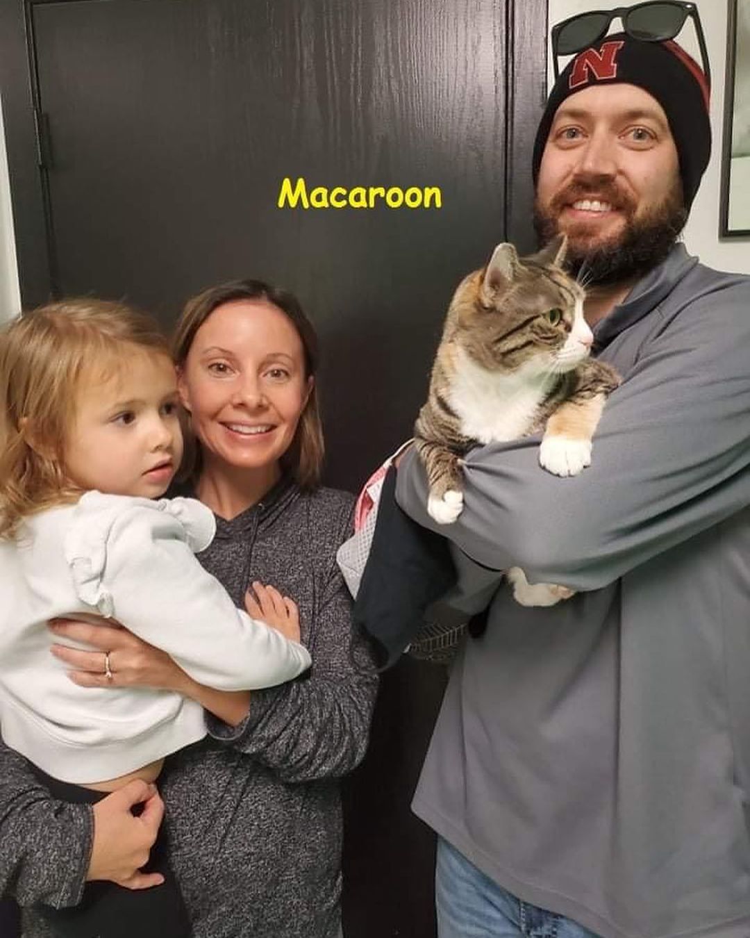 WEEKLY ADOPTION UPDATE - Six kitties were so thankful for finding their furever homes this week of Thanksgiving!  Congratulations to Macaroon, Tipsy, Gogurt & Kymber (went together), Mandi, and History.  We wish you and your new families all the very best! 💛💛💛