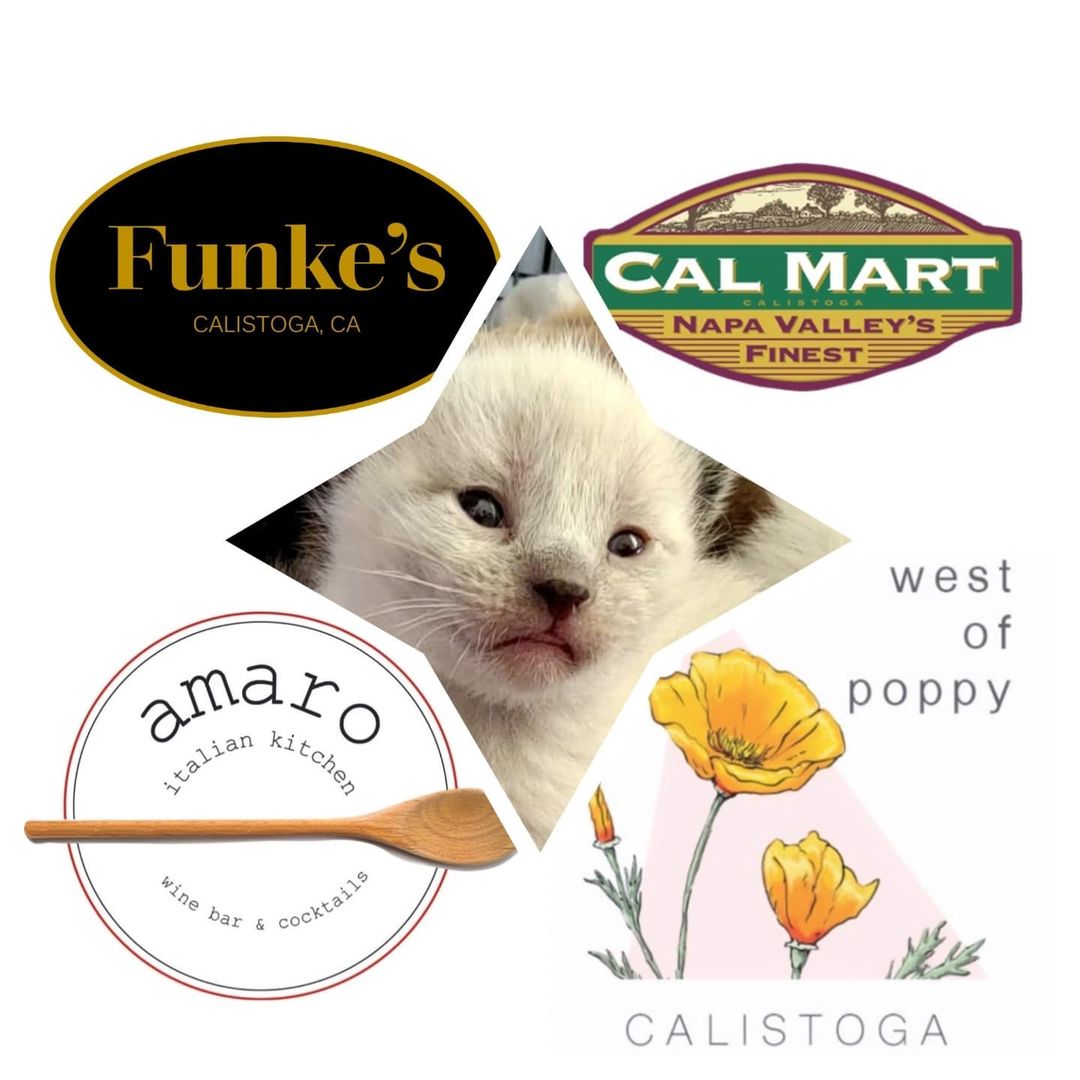 In honor of <a target='_blank' href='https://www.instagram.com/explore/tags/SmallBusinessSaturday/'>#SmallBusinessSaturday</a> we want to thank all the generous local businesses who have donated raffle prizes for WCAL's 2021 holiday fundraising campaign with Napa Valley CanDo's GiveGuide! Please be sure to thank them for supporting Wine Country Animal Lovers while you are out shopping today in Calistoga! Together we can do big things for animals and it's a wonderful feeling to know we have the support of our whole community 🐾

https://www.candogiveguide.org/

<a target='_blank' href='https://www.instagram.com/explore/tags/ShopLocal/'>#ShopLocal</a> <a target='_blank' href='https://www.instagram.com/explore/tags/ShopSmall/'>#ShopSmall</a> <a target='_blank' href='https://www.instagram.com/explore/tags/CommunitySupport/'>#CommunitySupport</a>