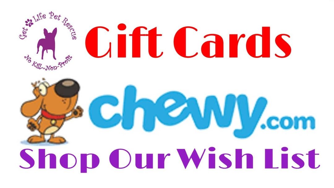 Helping our rescue cause is easy with Chewy Gift Cards and other always needed items on our Wish List🐕 Please share and donate at this link
https://www.chewy.com/g/south-florida-pet-rescue-rehab_b64614999 BLESS YOU 💜🐕💜