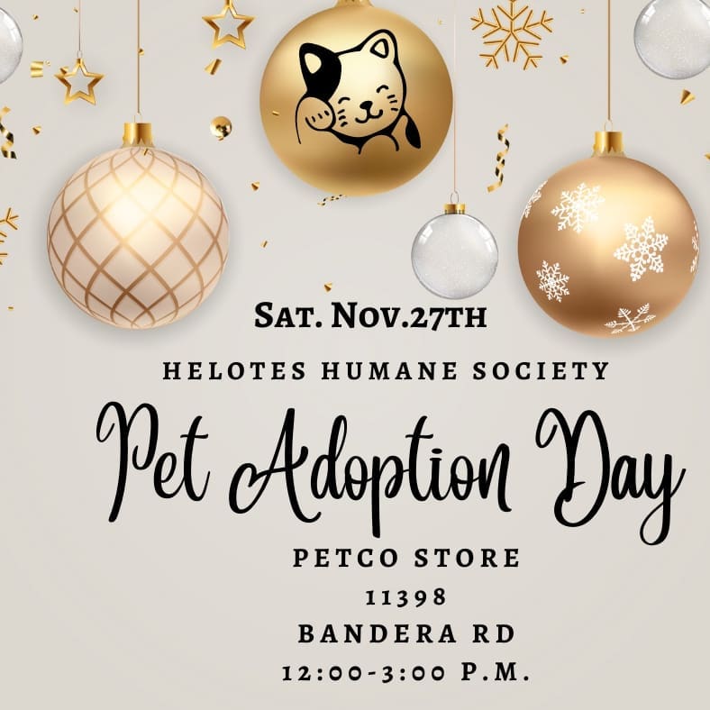 Come see our sweet felines this Saturday at Petco!
<a target='_blank' href='https://www.instagram.com/explore/tags/helotestx/'>#helotestx</a> <a target='_blank' href='https://www.instagram.com/explore/tags/helotes/'>#helotes</a> <a target='_blank' href='https://www.instagram.com/explore/tags/helotestexas/'>#helotestexas</a> <a target='_blank' href='https://www.instagram.com/explore/tags/sanantoniopets/'>#sanantoniopets</a> <a target='_blank' href='https://www.instagram.com/explore/tags/adoptablepets/'>#adoptablepets</a> <a target='_blank' href='https://www.instagram.com/explore/tags/adoptacat/'>#adoptacat</a> <a target='_blank' href='https://www.instagram.com/explore/tags/adoptakitten/'>#adoptakitten</a> <a target='_blank' href='https://www.instagram.com/explore/tags/sanantoniocats/'>#sanantoniocats</a>