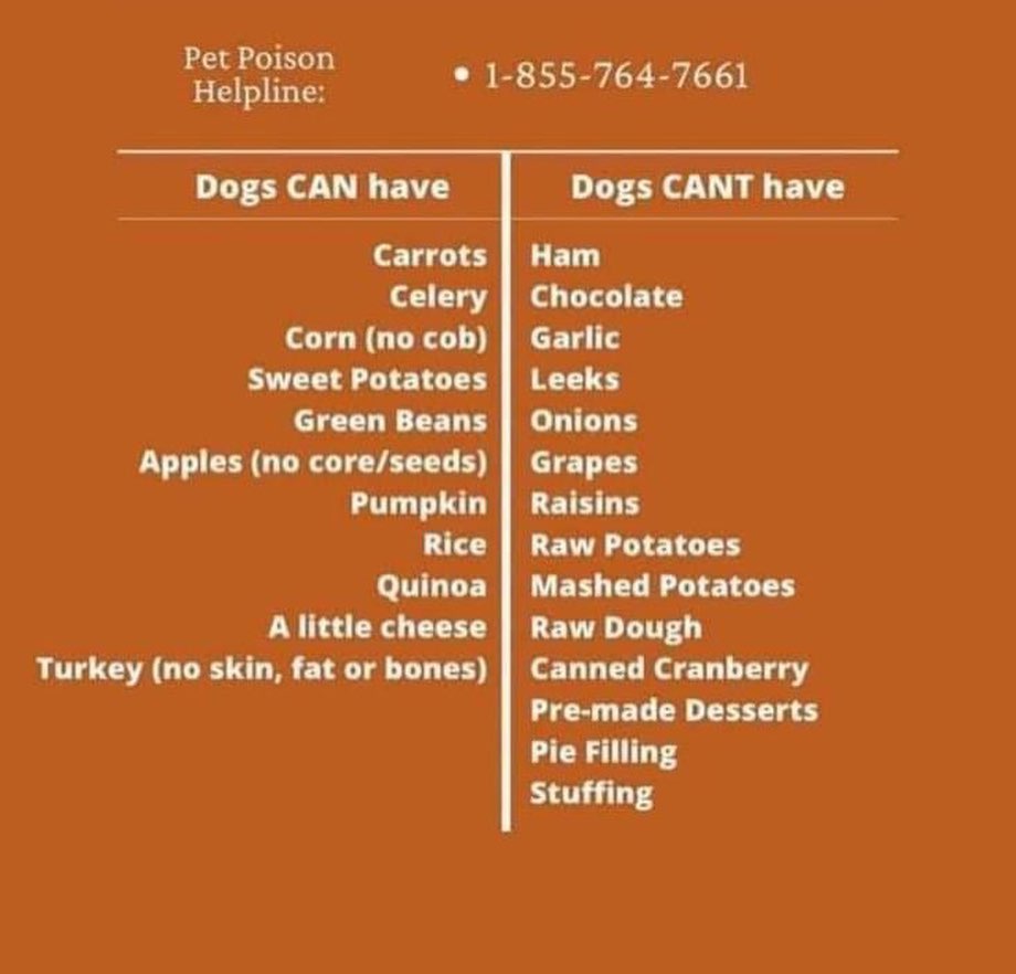 We hope everyone has an amazing Thanksgiving! We are so thankful for all our supporters, without you we couldn’t save all these lives ❤️🐾

<a target='_blank' href='https://www.instagram.com/explore/tags/cyprescue/'>#cyprescue</a> <a target='_blank' href='https://www.instagram.com/explore/tags/crossyourpaws/'>#crossyourpaws</a> <a target='_blank' href='https://www.instagram.com/explore/tags/crossyourpawsrescue/'>#crossyourpawsrescue</a> <a target='_blank' href='https://www.instagram.com/explore/tags/rescue/'>#rescue</a>  <a target='_blank' href='https://www.instagram.com/explore/tags/muttsofinstagram/'>#muttsofinstagram</a> <a target='_blank' href='https://www.instagram.com/explore/tags/dogsofinstagram/'>#dogsofinstagram</a> <a target='_blank' href='https://www.instagram.com/explore/tags/dogsofinsta/'>#dogsofinsta</a> <a target='_blank' href='https://www.instagram.com/explore/tags/instadog/'>#instadog</a> <a target='_blank' href='https://www.instagram.com/explore/tags/instagramdogs/'>#instagramdogs</a> <a target='_blank' href='https://www.instagram.com/explore/tags/rescuedogsofinstagram/'>#rescuedogsofinstagram</a> <a target='_blank' href='https://www.instagram.com/explore/tags/adoptdontshop/'>#adoptdontshop</a> <a target='_blank' href='https://www.instagram.com/explore/tags/dogsofpittsburgh/'>#dogsofpittsburgh</a> <a target='_blank' href='https://www.instagram.com/explore/tags/pittsburghdogs/'>#pittsburghdogs</a> <a target='_blank' href='https://www.instagram.com/explore/tags/rescuedog/'>#rescuedog</a> <a target='_blank' href='https://www.instagram.com/explore/tags/spayandneuter/'>#spayandneuter</a> <a target='_blank' href='https://www.instagram.com/explore/tags/fosteringsaveslives/'>#fosteringsaveslives</a> <a target='_blank' href='https://www.instagram.com/explore/tags/rescuedismyfavoritebreed/'>#rescuedismyfavoritebreed</a> <a target='_blank' href='https://www.instagram.com/explore/tags/thanksgiving/'>#thanksgiving</a> <a target='_blank' href='https://www.instagram.com/explore/tags/givethanks/'>#givethanks</a> <a target='_blank' href='https://www.instagram.com/explore/tags/happythanksgivng/'>#happythanksgivng</a> <a target='_blank' href='https://www.instagram.com/explore/tags/thankful/'>#thankful</a> <a target='_blank' href='https://www.instagram.com/explore/tags/thankfulgratefulblessed/'>#thankfulgratefulblessed</a>