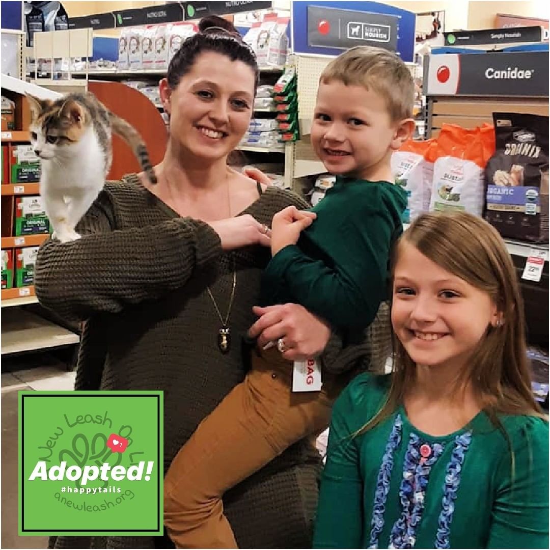 <a target='_blank' href='https://www.instagram.com/explore/tags/HappyTails/'>#HappyTails</a> to over 45 of our cats and dogs who found fantastic homes this week! We are so thankful for all who chose to adopt a furry family member! 
🐶💚🐱
If you’d like to find a best friend too, head on over to our website to see who is looking for a furever family! If you see a pet you’re interested in, please fill out an adoption survey to get connected with our adoption team who can set up a meet and greet! 
www.anewleash.org

<a target='_blank' href='https://www.instagram.com/explore/tags/anewleashonlife/'>#anewleashonlife</a> <a target='_blank' href='https://www.instagram.com/explore/tags/anewleash/'>#anewleash</a> <a target='_blank' href='https://www.instagram.com/explore/tags/anlol/'>#anlol</a> <a target='_blank' href='https://www.instagram.com/explore/tags/adoptionevent/'>#adoptionevent</a> <a target='_blank' href='https://www.instagram.com/explore/tags/adoptables/'>#adoptables</a> <a target='_blank' href='https://www.instagram.com/explore/tags/adoptdontshop/'>#adoptdontshop</a>  <a target='_blank' href='https://www.instagram.com/explore/tags/rescuedismyfavoritebreed/'>#rescuedismyfavoritebreed</a> <a target='_blank' href='https://www.instagram.com/explore/tags/adoptadog/'>#adoptadog</a> <a target='_blank' href='https://www.instagram.com/explore/tags/adoptacat/'>#adoptacat</a> <a target='_blank' href='https://www.instagram.com/explore/tags/rescuedog/'>#rescuedog</a> <a target='_blank' href='https://www.instagram.com/explore/tags/rescuecat/'>#rescuecat</a> <a target='_blank' href='https://www.instagram.com/explore/tags/spayandneuter/'>#spayandneuter</a> <a target='_blank' href='https://www.instagram.com/explore/tags/savethemall/'>#savethemall</a> <a target='_blank' href='https://www.instagram.com/explore/tags/choosetoadopt/'>#choosetoadopt</a> <a target='_blank' href='https://www.instagram.com/explore/tags/alabamaanimalrescue/'>#alabamaanimalrescue</a> <a target='_blank' href='https://www.instagram.com/explore/tags/adoptme/'>#adoptme</a> <a target='_blank' href='https://www.instagram.com/explore/tags/volunteer/'>#volunteer</a> <a target='_blank' href='https://www.instagram.com/explore/tags/foster/'>#foster</a> <a target='_blank' href='https://www.instagram.com/explore/tags/fosteringsaveslives/'>#fosteringsaveslives</a> <a target='_blank' href='https://www.instagram.com/explore/tags/adoptpurelove/'>#adoptpurelove</a> <a target='_blank' href='https://www.instagram.com/explore/tags/huntsvilleal/'>#huntsvilleal</a> <a target='_blank' href='https://www.instagram.com/explore/tags/rescuepet/'>#rescuepet</a> <a target='_blank' href='https://www.instagram.com/explore/tags/rescuepetsofinstagram/'>#rescuepetsofinstagram</a>  <a target='_blank' href='https://www.instagram.com/explore/tags/rescue/'>#rescue</a> <a target='_blank' href='https://www.instagram.com/explore/tags/madisonal/'>#madisonal</a> <a target='_blank' href='https://www.instagram.com/explore/tags/northalabama/'>#northalabama</a>